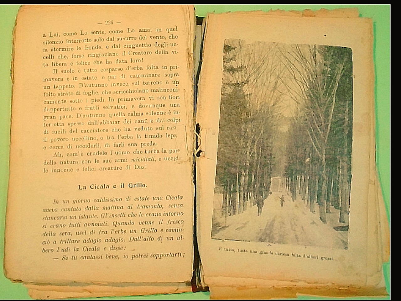 APPUNTI DOMENICO MELARDI - immagine 2