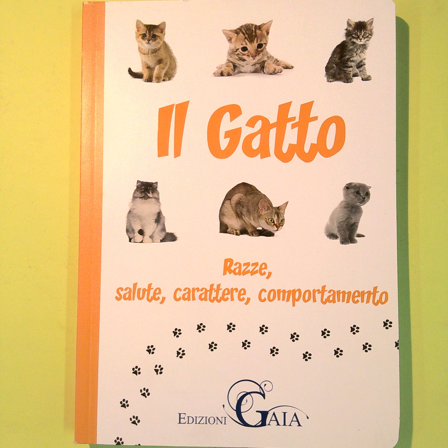 IL GATTO