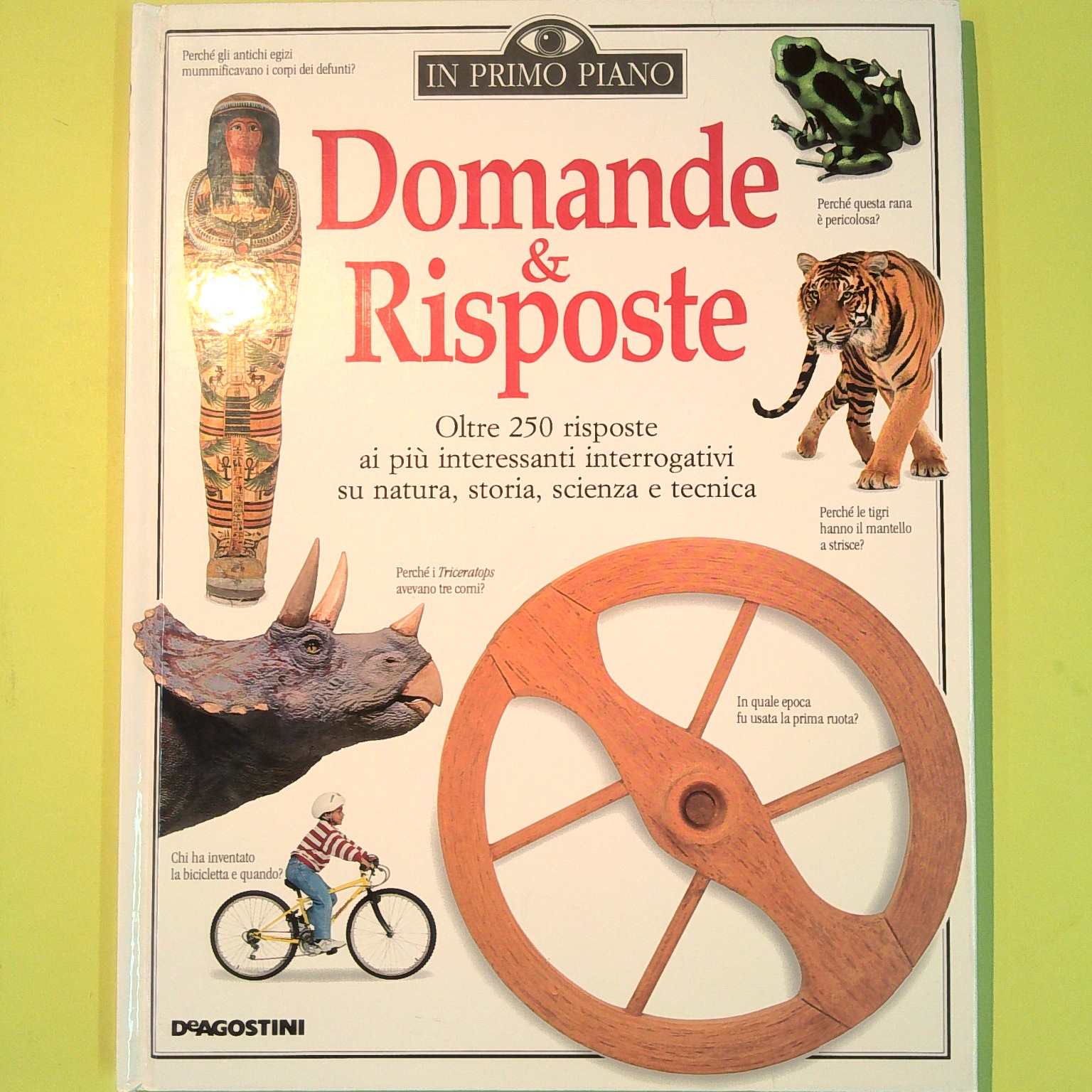 IN PRIMO PIANO DOMANDE & RISPOSTE