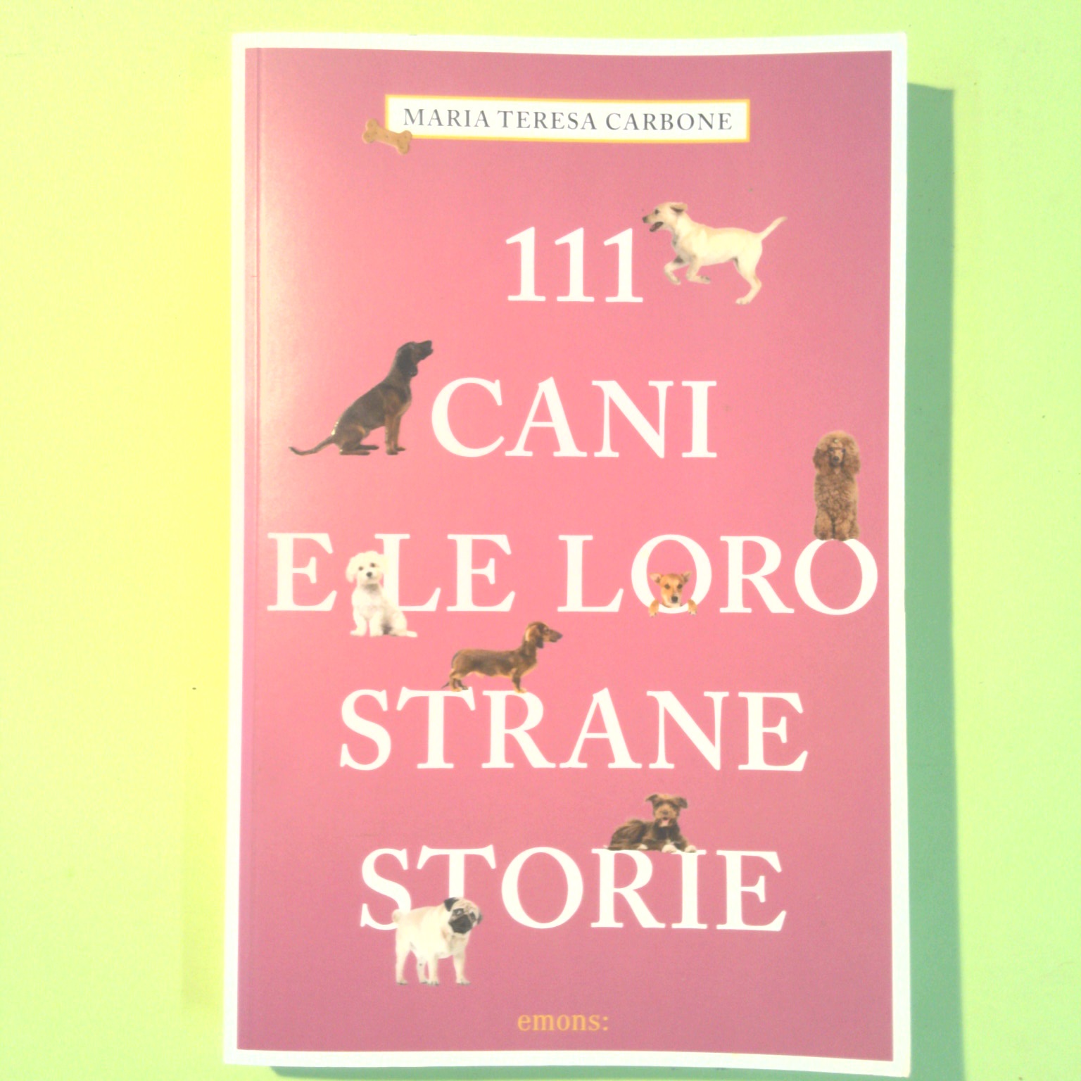 111 CANI E LE LORO STRANE STORIE