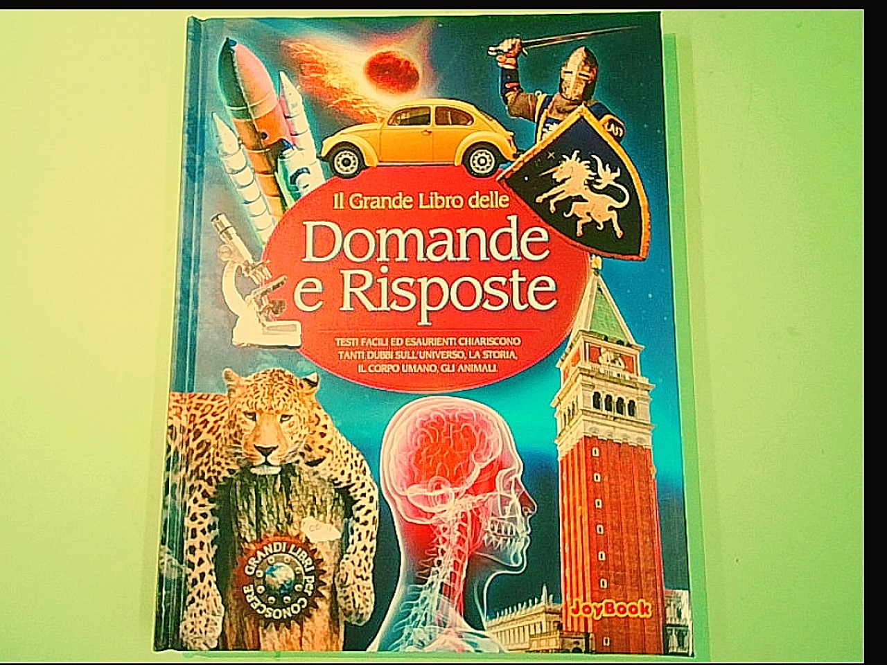 IL GRANDE LIBRO DELLE DOMANDE E RISPOSTE