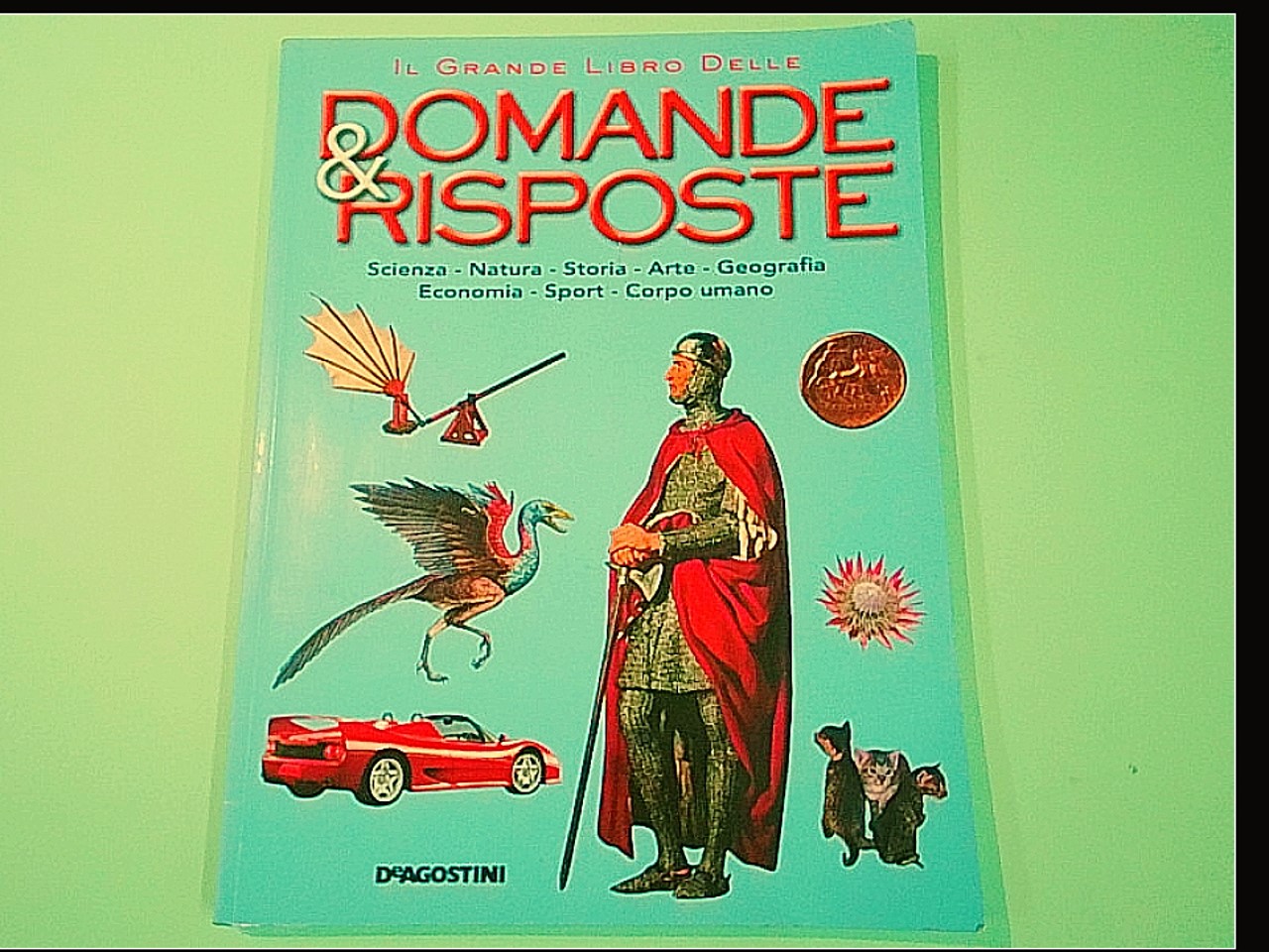 IL GRANDE LIBRO DELLE DOMANDE & RISPOSTE