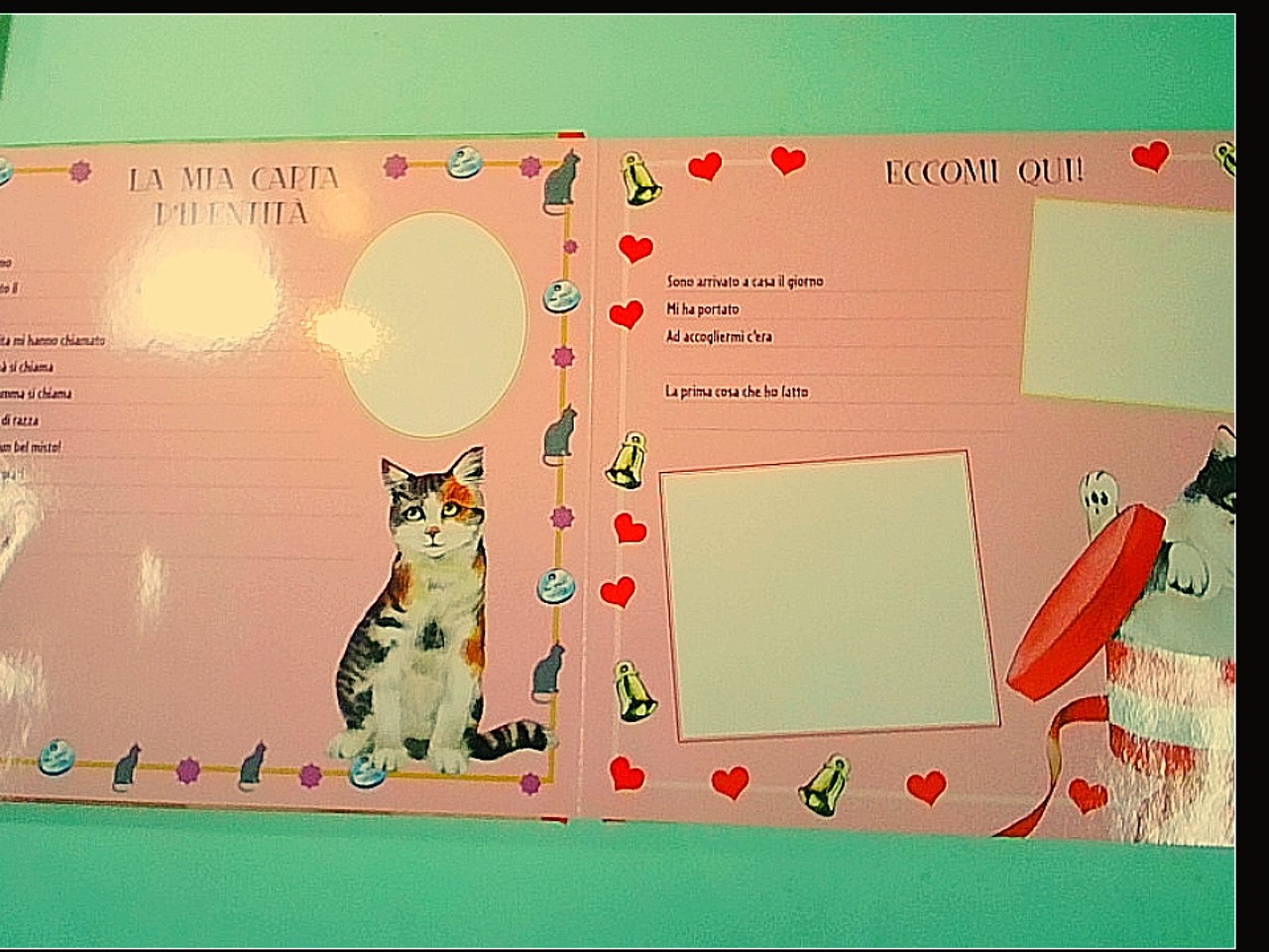 IL MIO AMICO GATTO - immagine 2