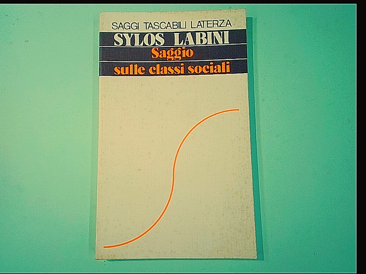 SAGGIO SULLE CLASSI SOCIALI