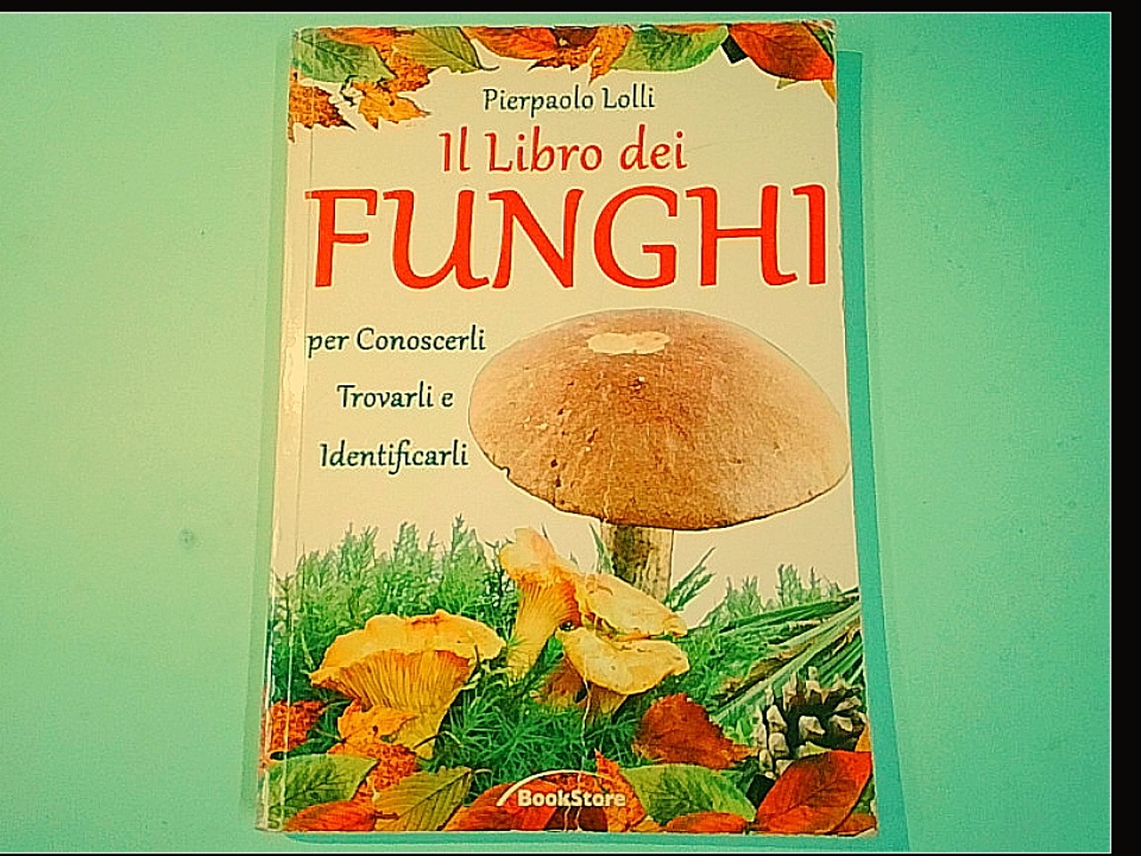 IL LIBRO DEI FUNGHI