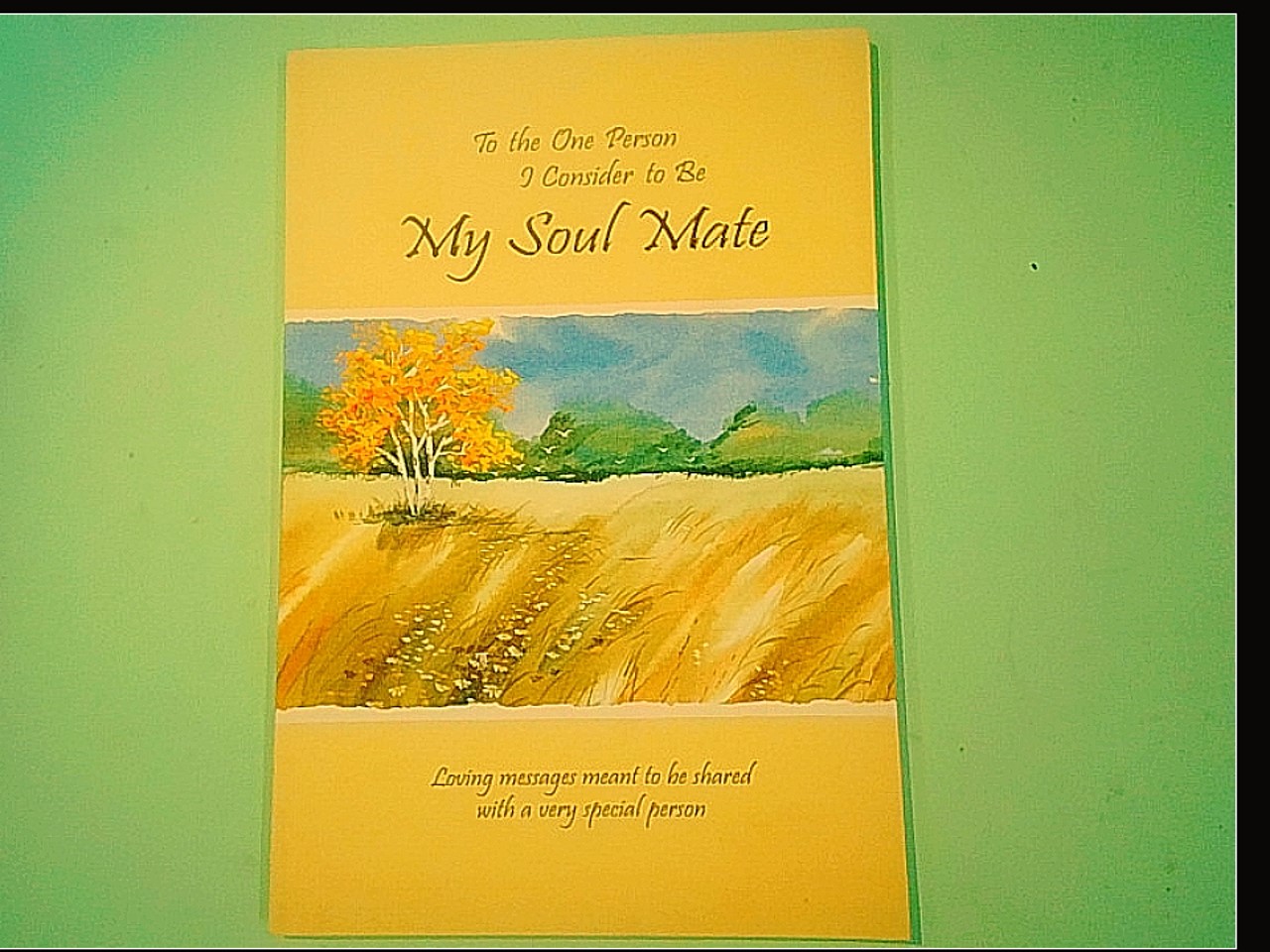 MY SOUL MATE