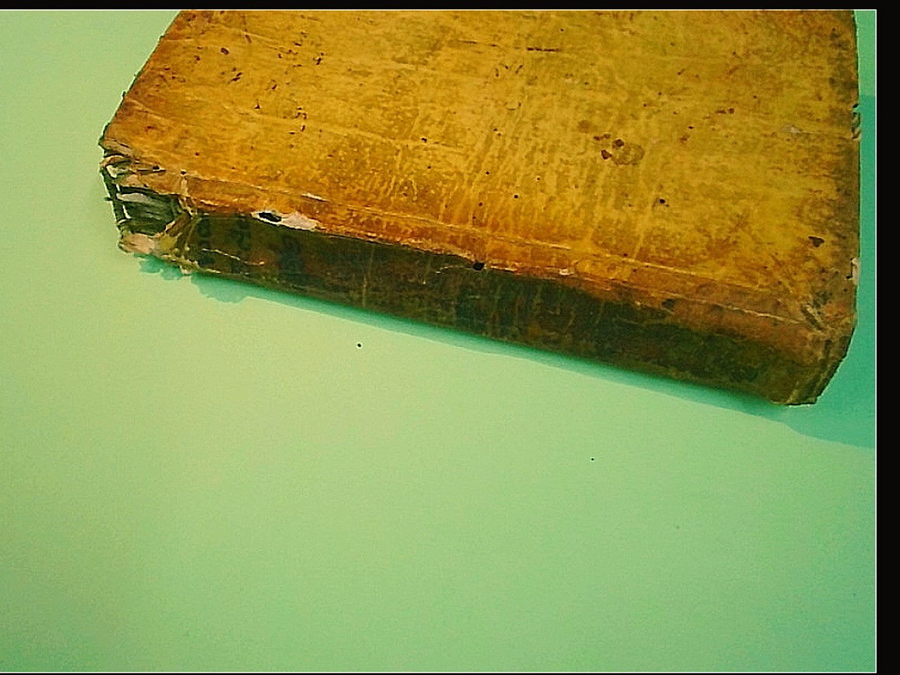 VOCABOLARIUM ECCLESIASTICUM - immagine 3