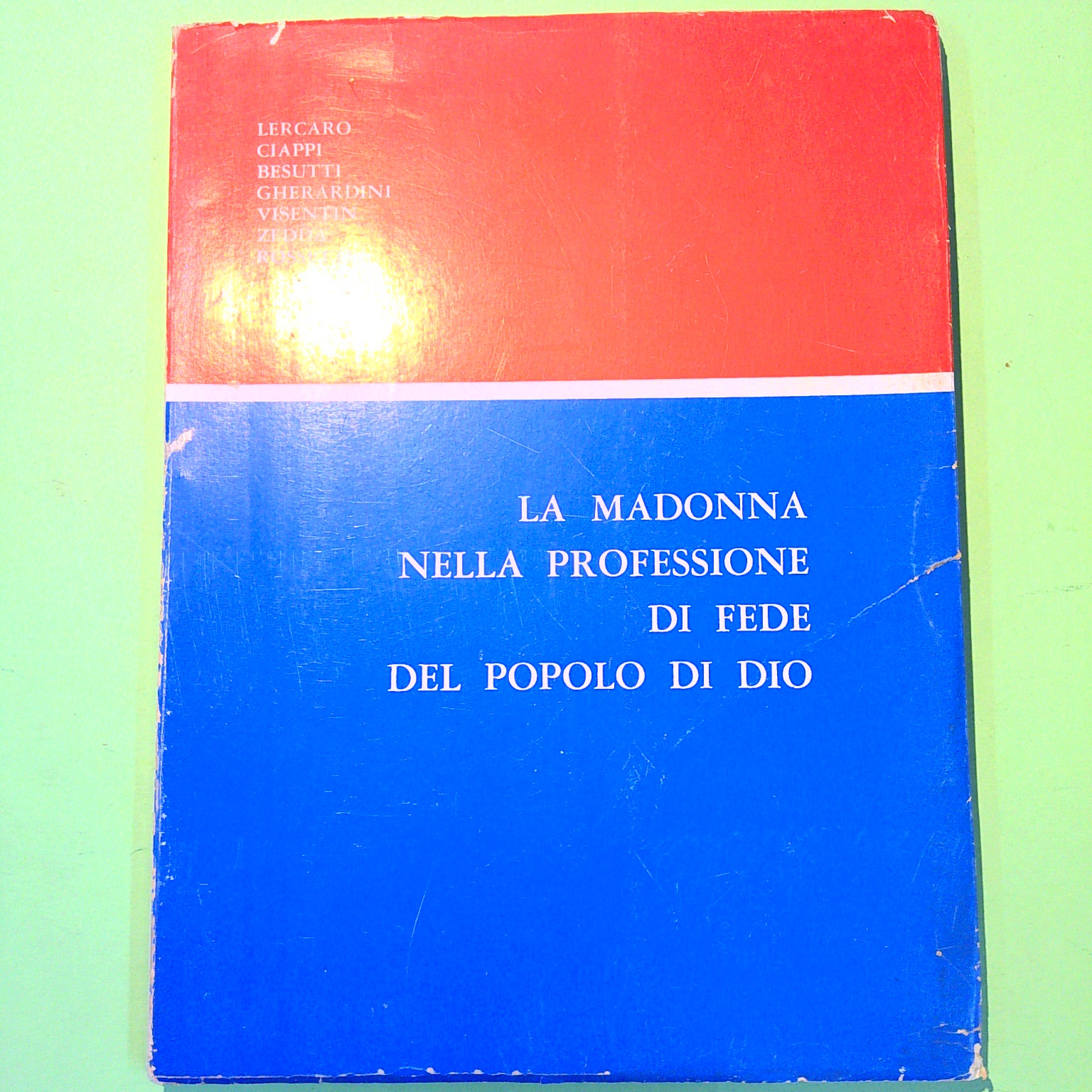 LA MADONNA NELLA PROFESSIONE DI FEDE DEL POPOLO DI DIO