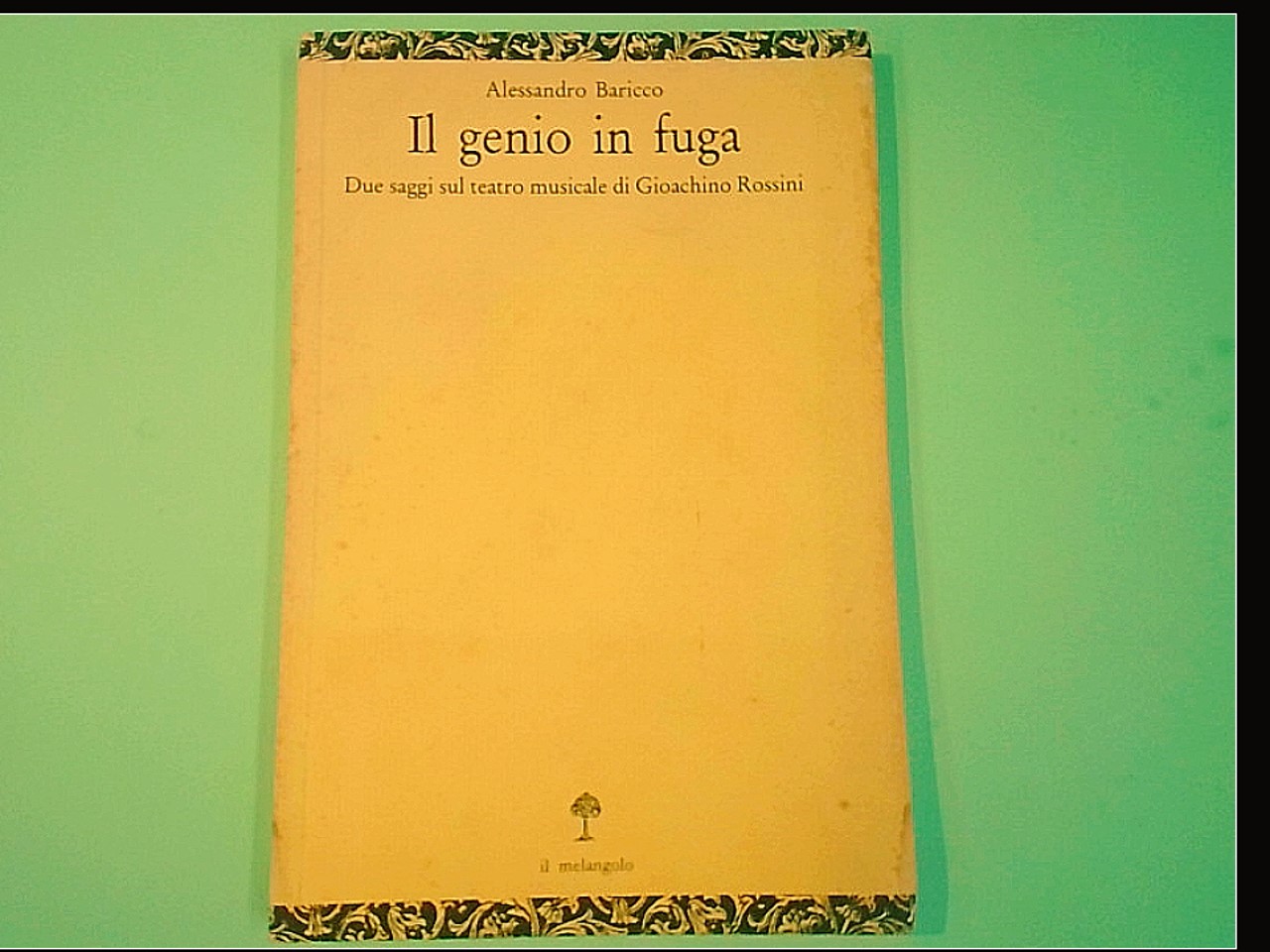 IL GENIO IN FUGA