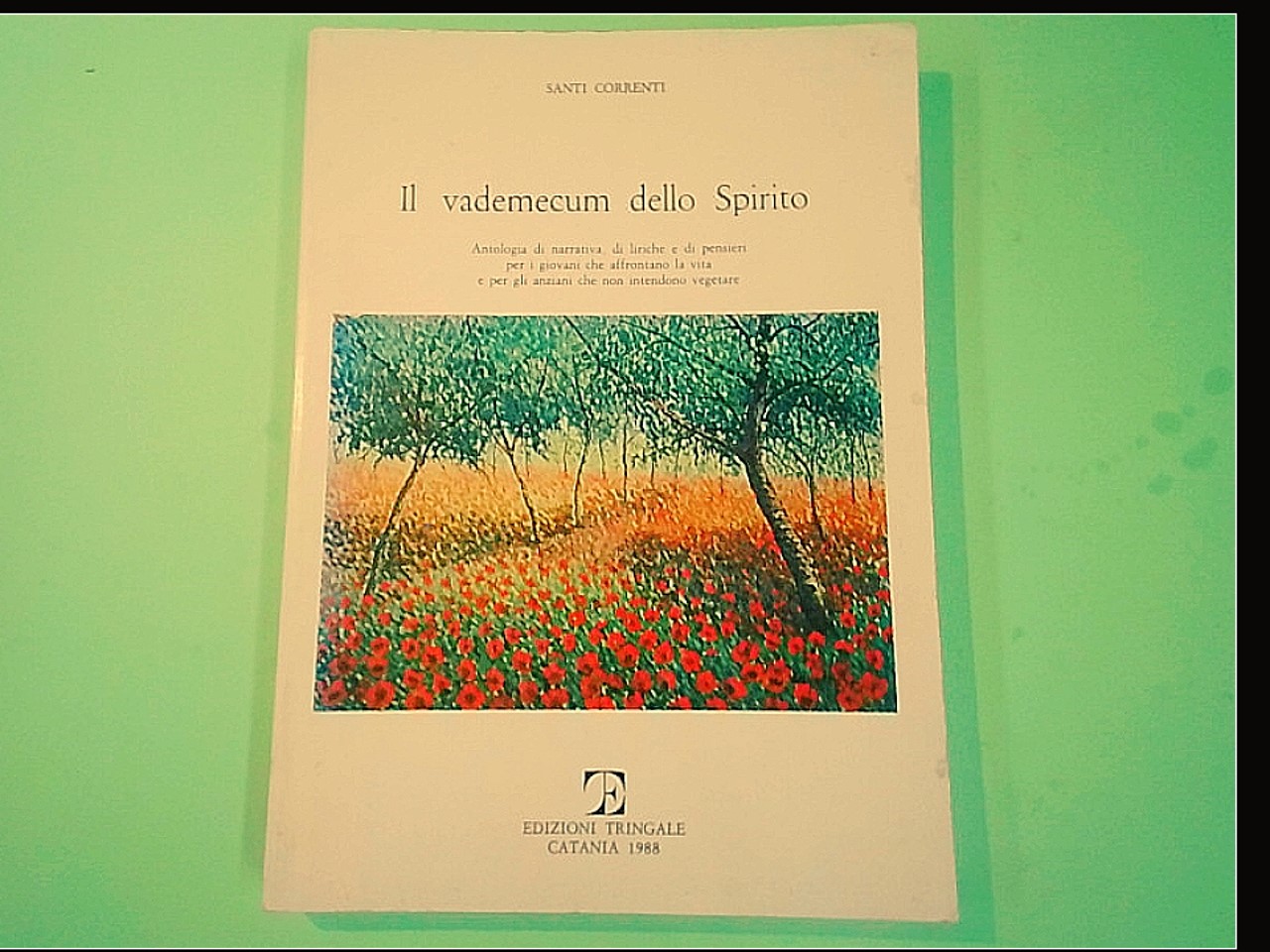 IL VADEMECUM DELLO SPIRITO