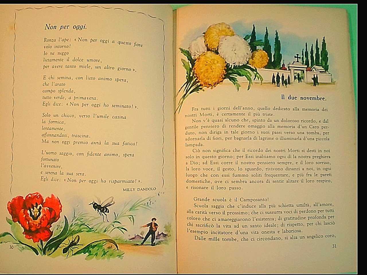 SICILIA TERRA D'INCANTO LETTURE PER LA 4^ CLASSE ELEMENTARE - immagine 2