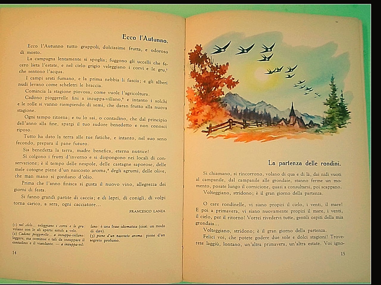 SICILIA TERRA D'INCANTO LETTURE PER LA 4^ CLASSE ELEMENTARE - immagine 5
