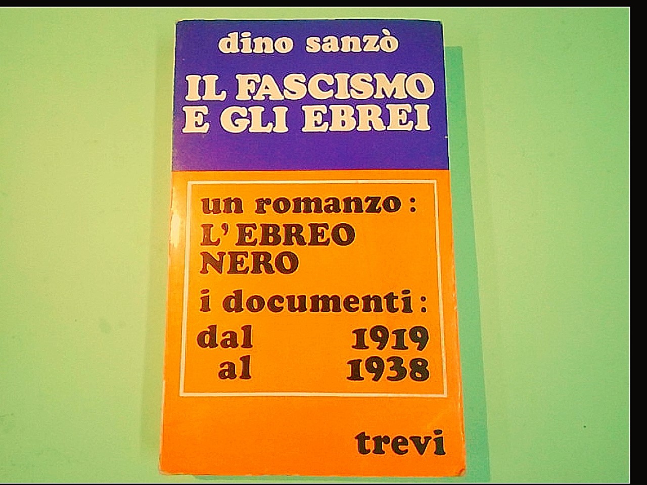 IL FASCISMO E GLI EBREI