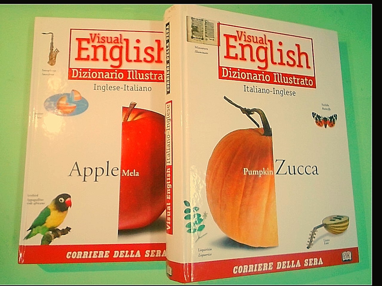 VISUAL ENGLISH DIZIONARIO ILLUSTRATO ITALIANO INGLESE - Libreria
