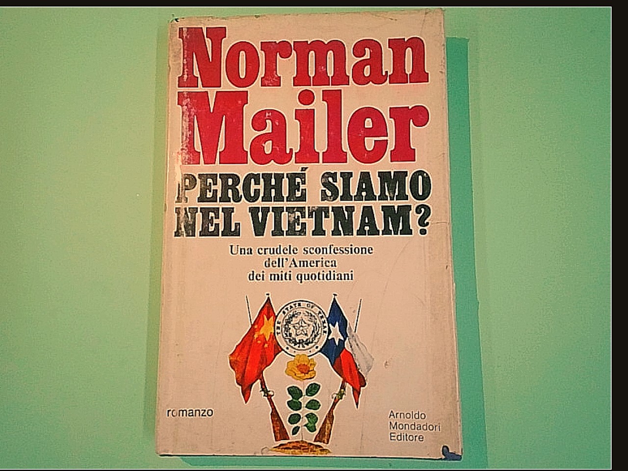 PERCHÉ SIAMO NEL VIETNAM?