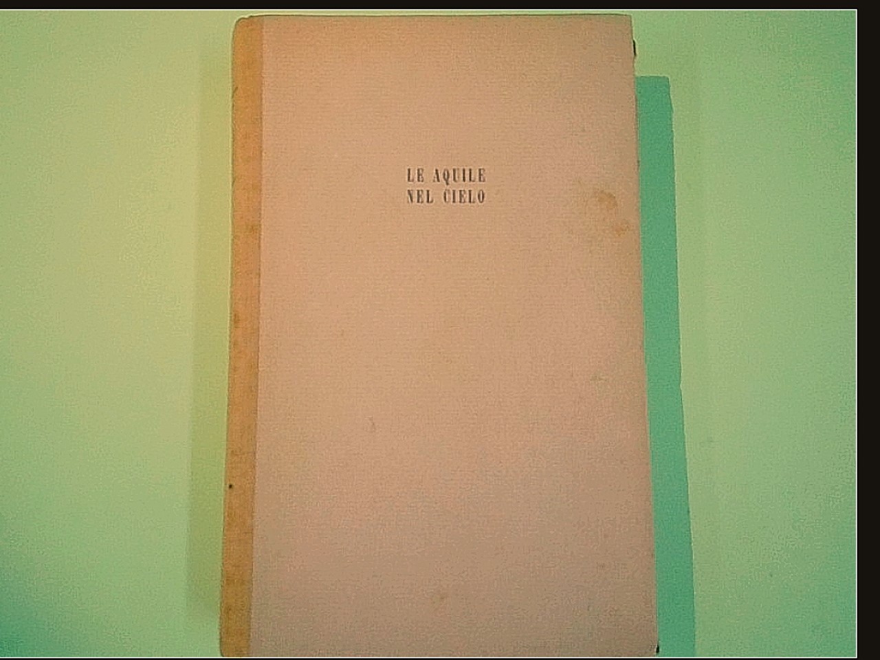 LE AQUILE NEL CIELO