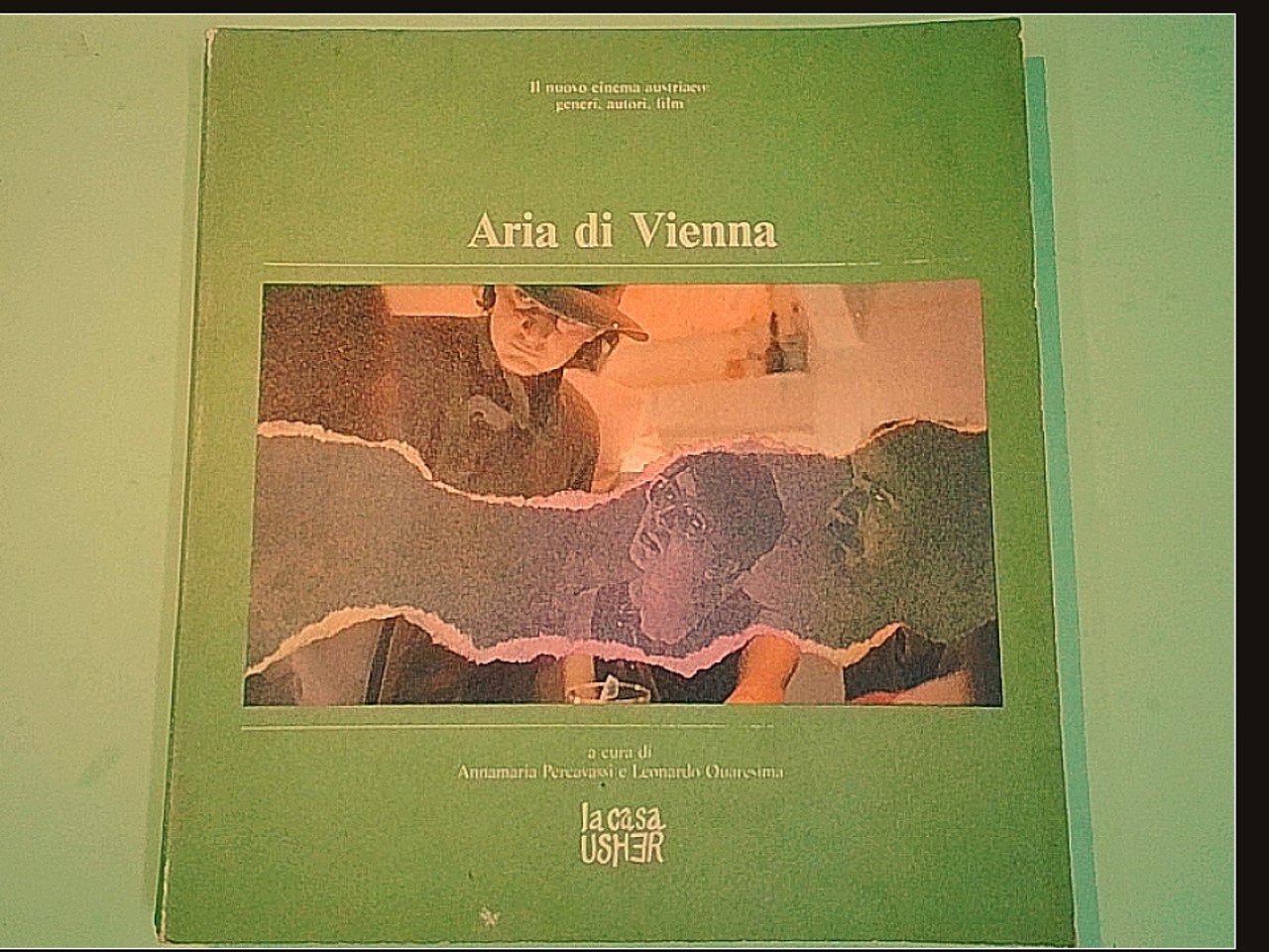 ARIA DI VIENNA