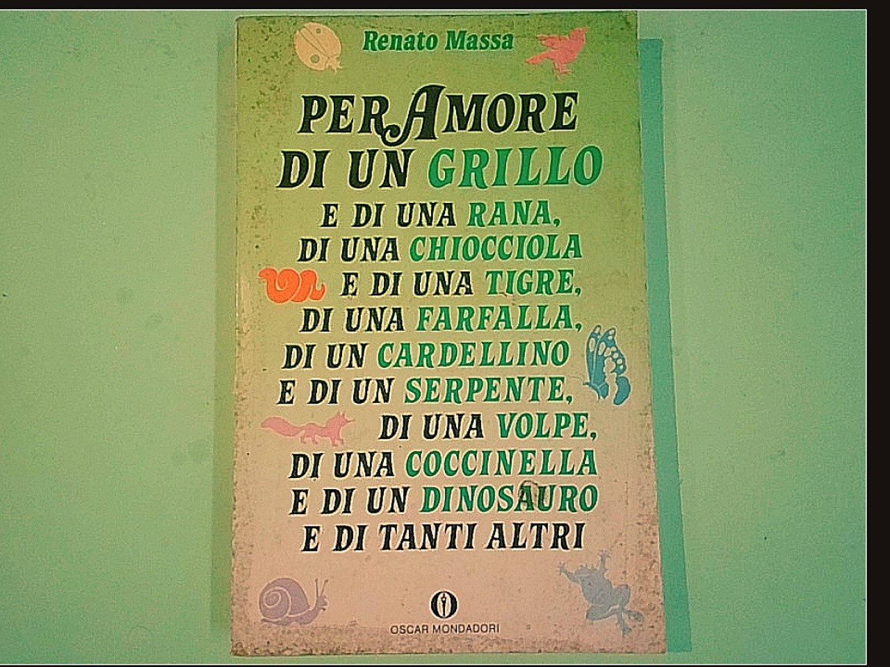 PER AMORE DI UN GRILLO