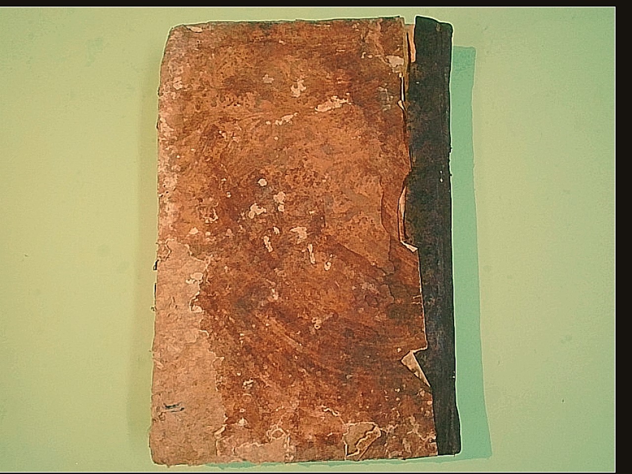 DELLE MALATTIE DEL CUORE TOMO II LIBRO II - immagine 2