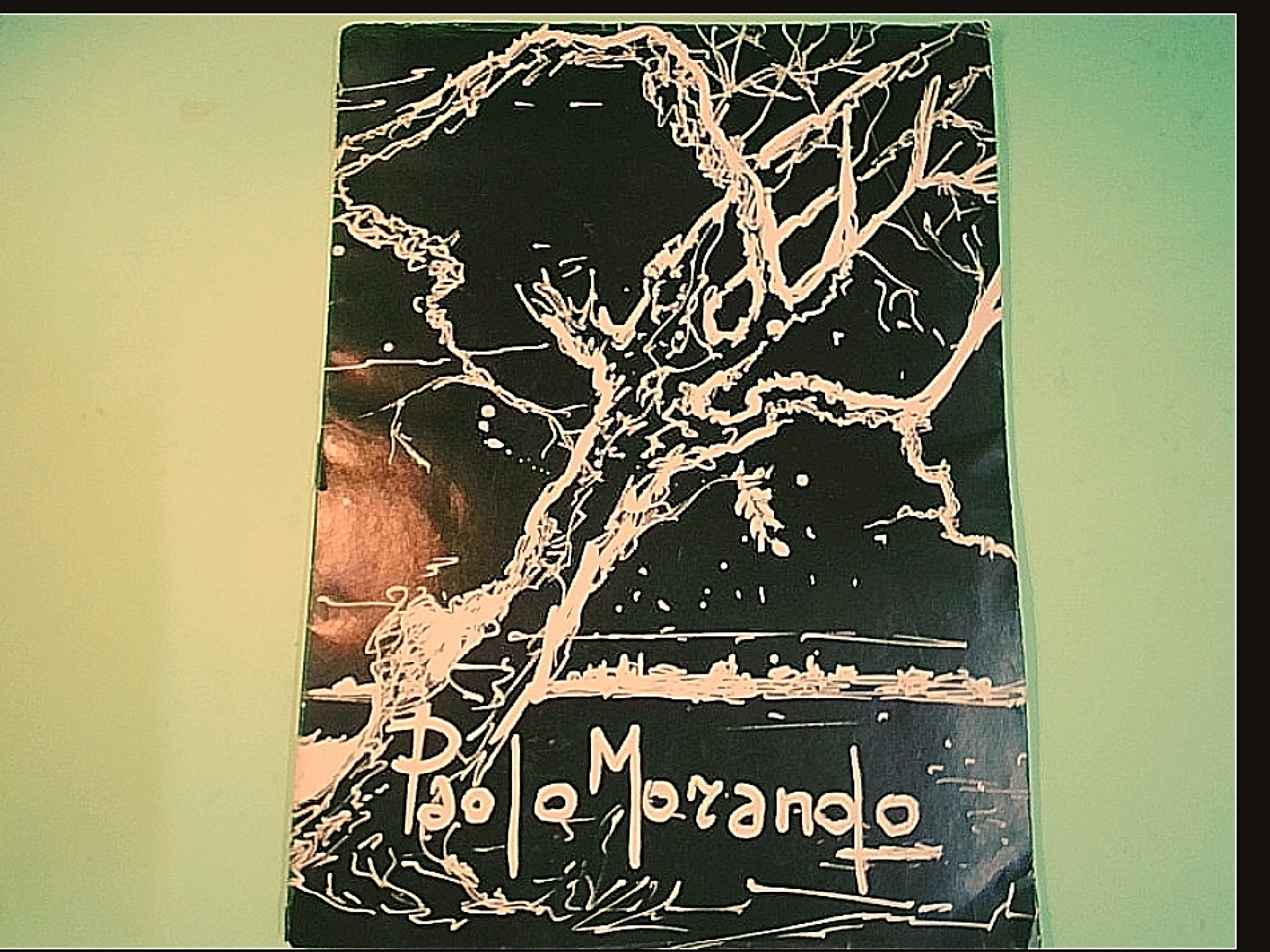 PAOLO MORANDO IL MIO SEGNO IL MIO COLORE