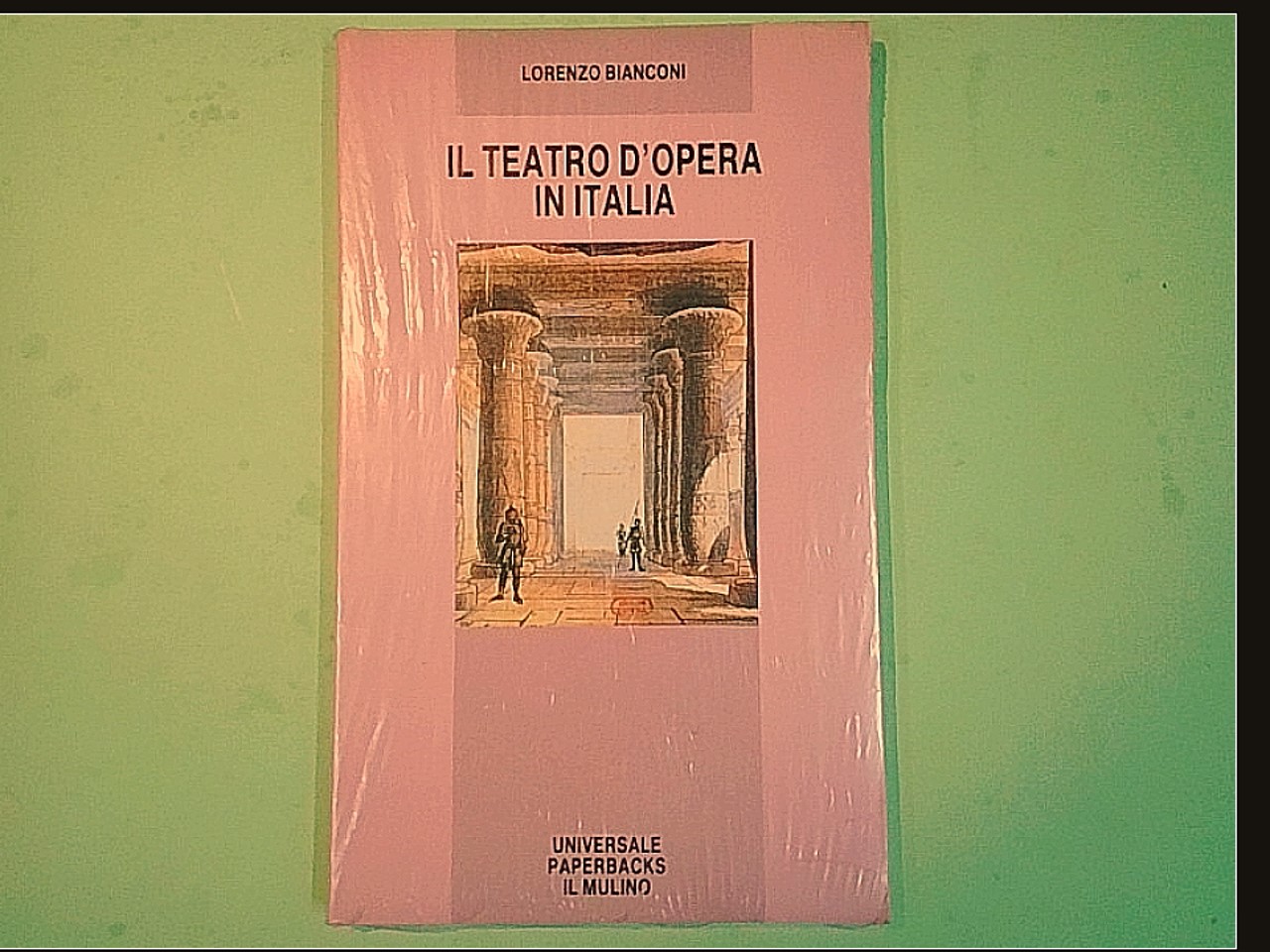 IL TEATRO D'OPERA IN ITALIA