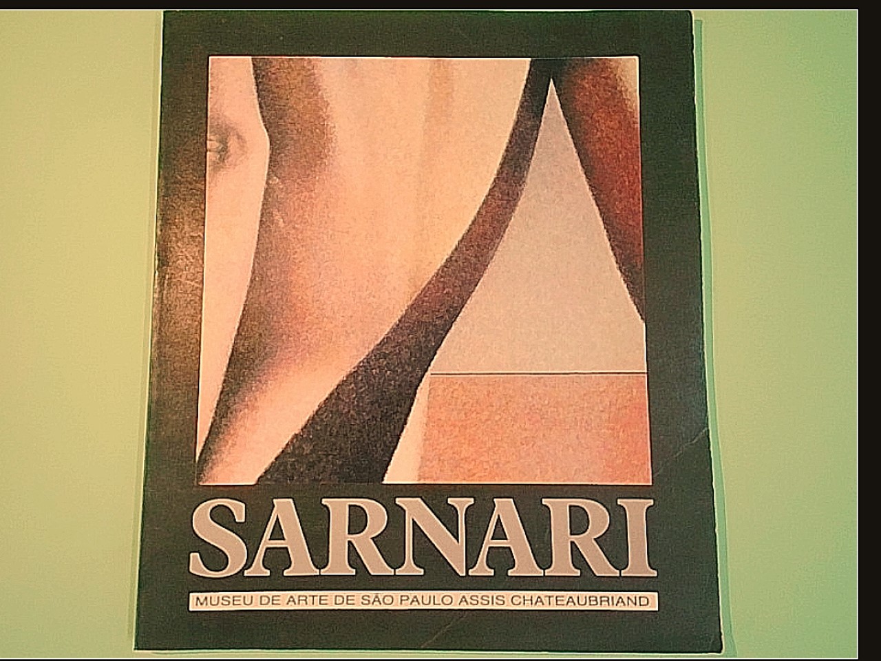 SARNARI