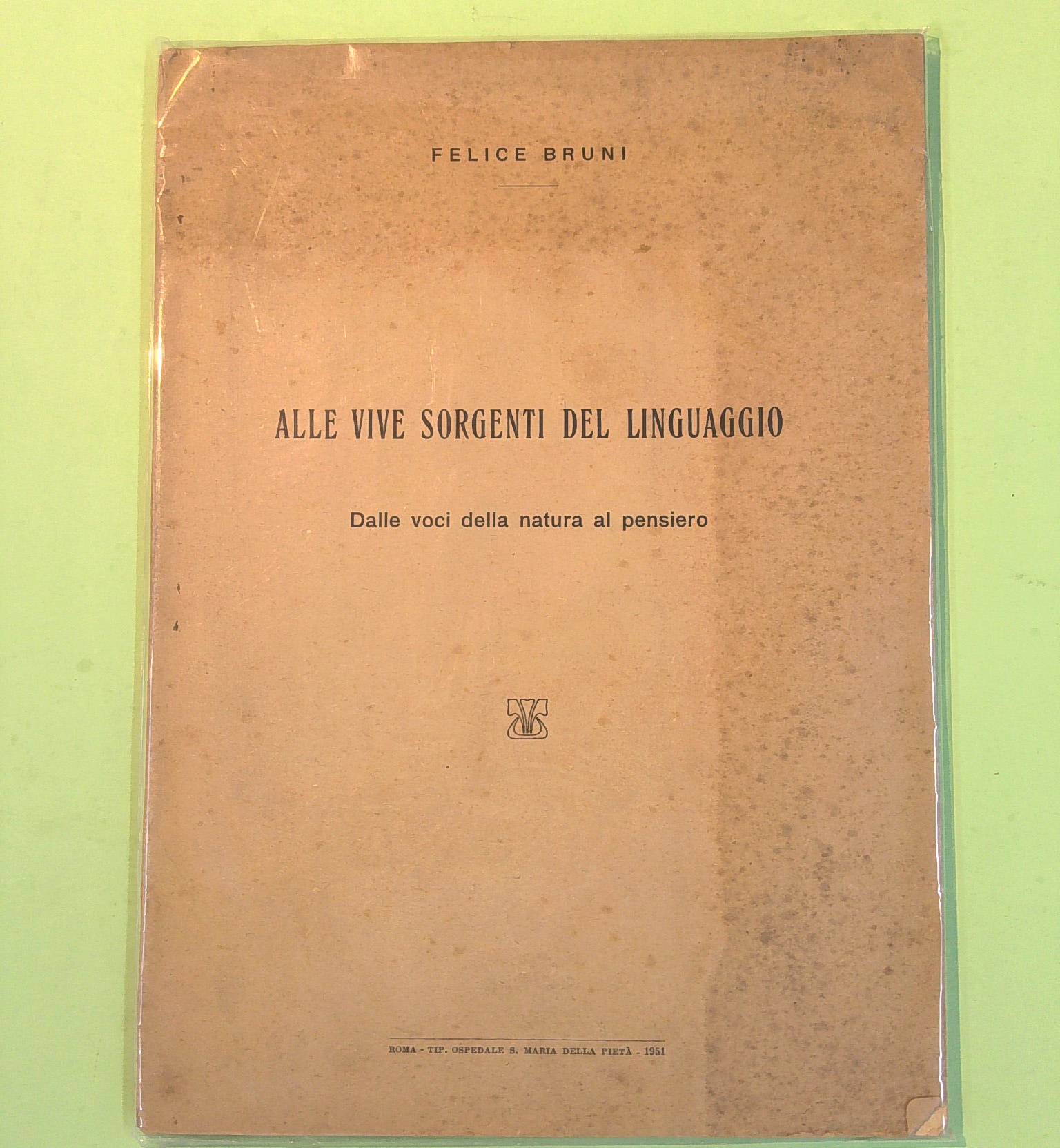 ALLE VIVE SORGENTI DEL LINGUAGGIO