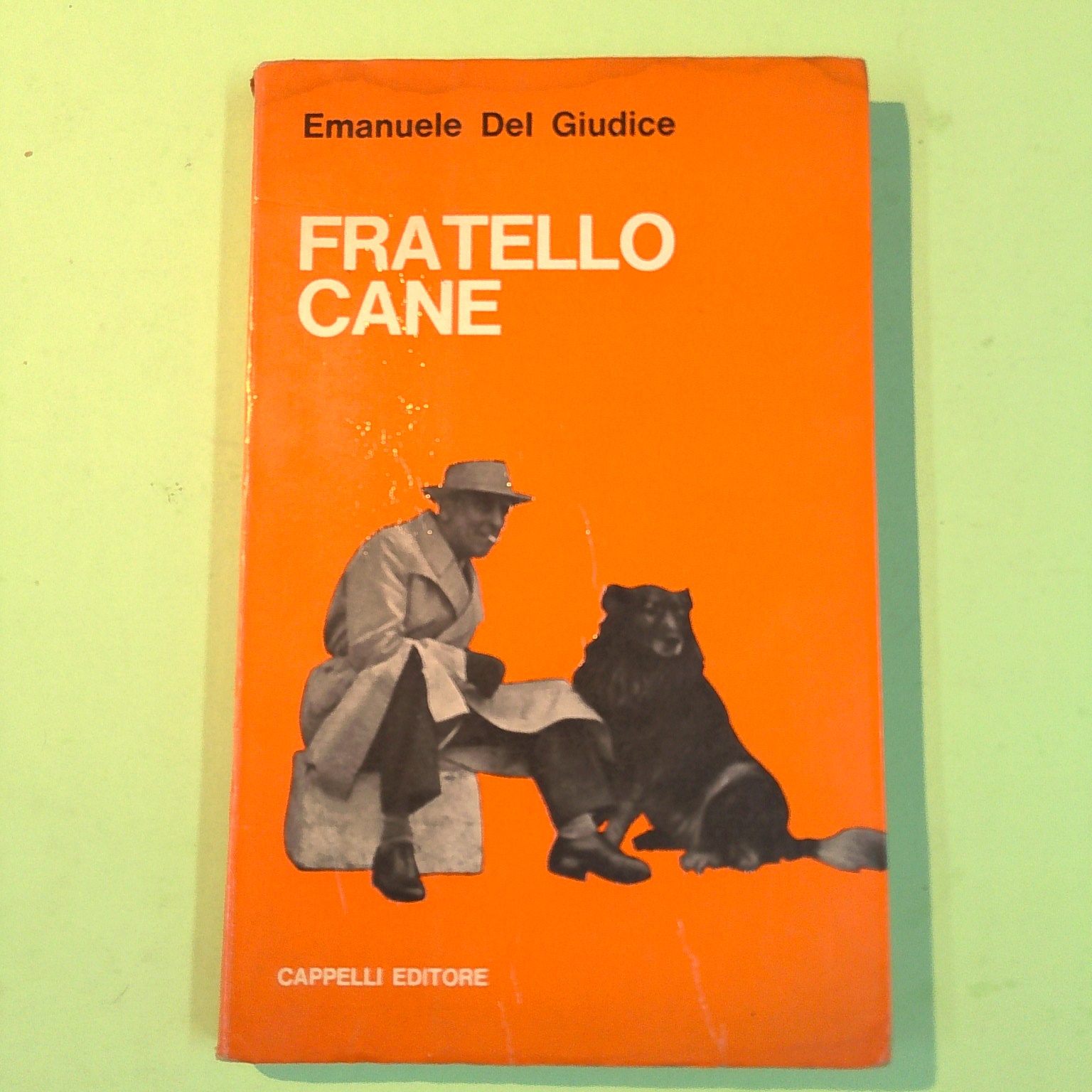 FRATELLO CANE
