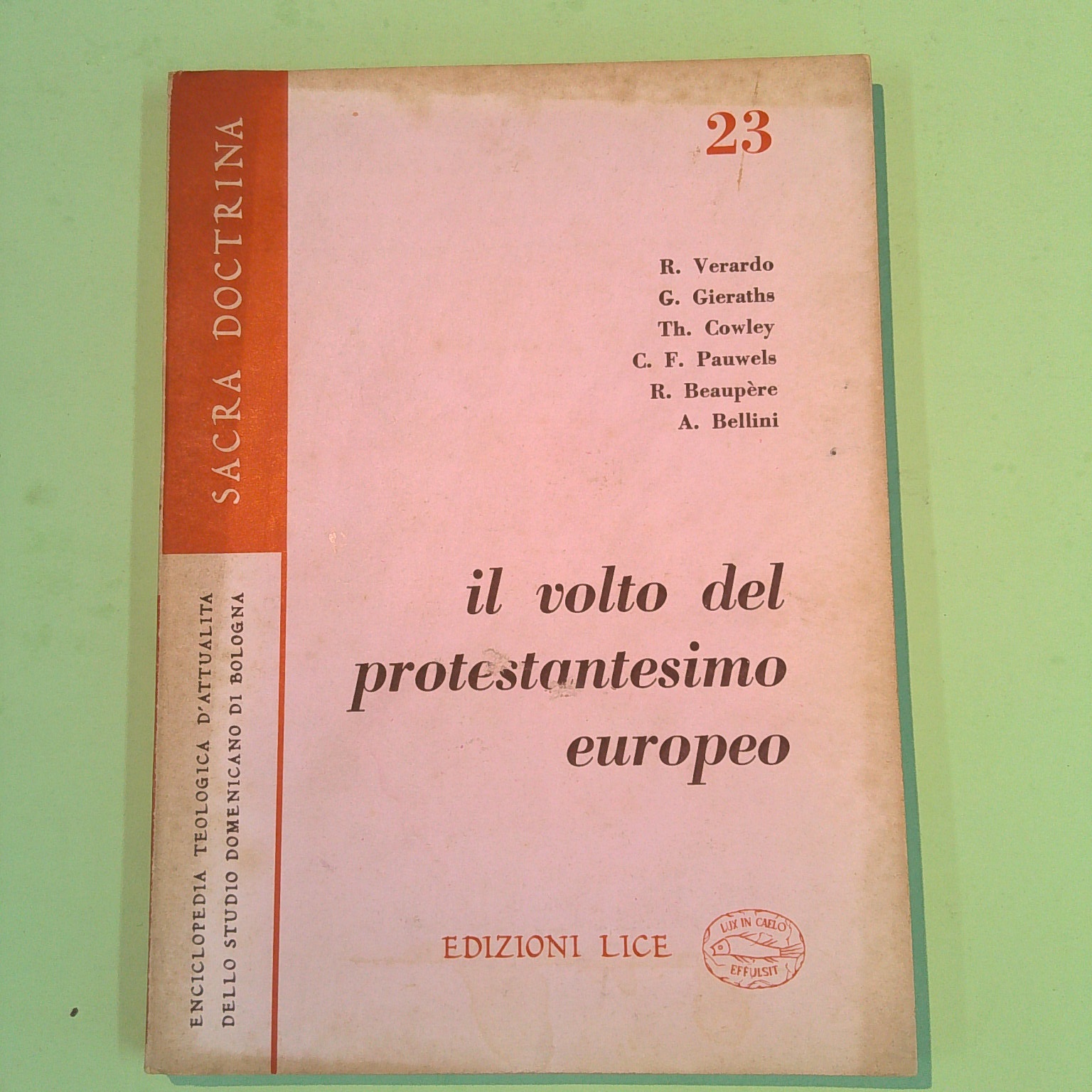 IL VOLTO DEL PROTESTANTESIMO EUROPEO