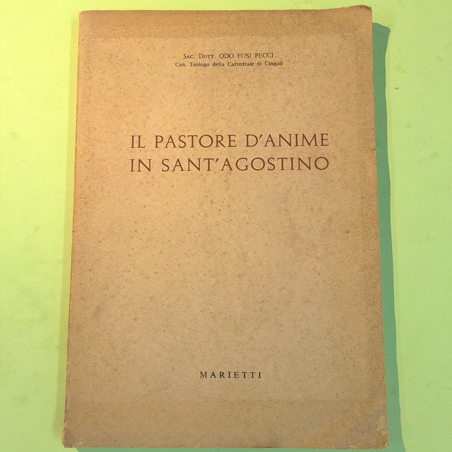 IL PASTORE D'ANIME IN SANT'AGOSTINO