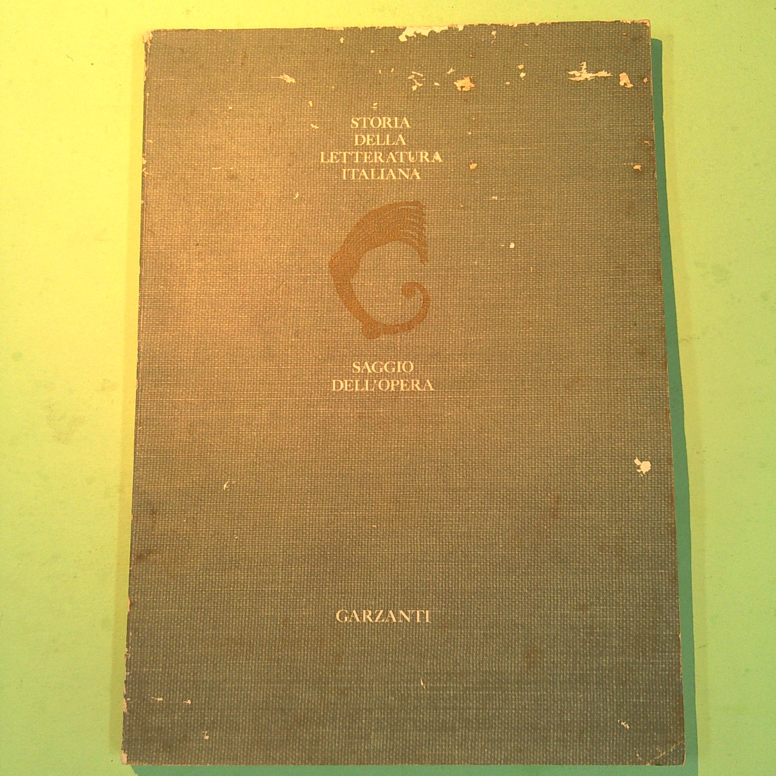 STORIA DELLA LETTERATURA ITALIANA SAGGIO DELL'OPERA