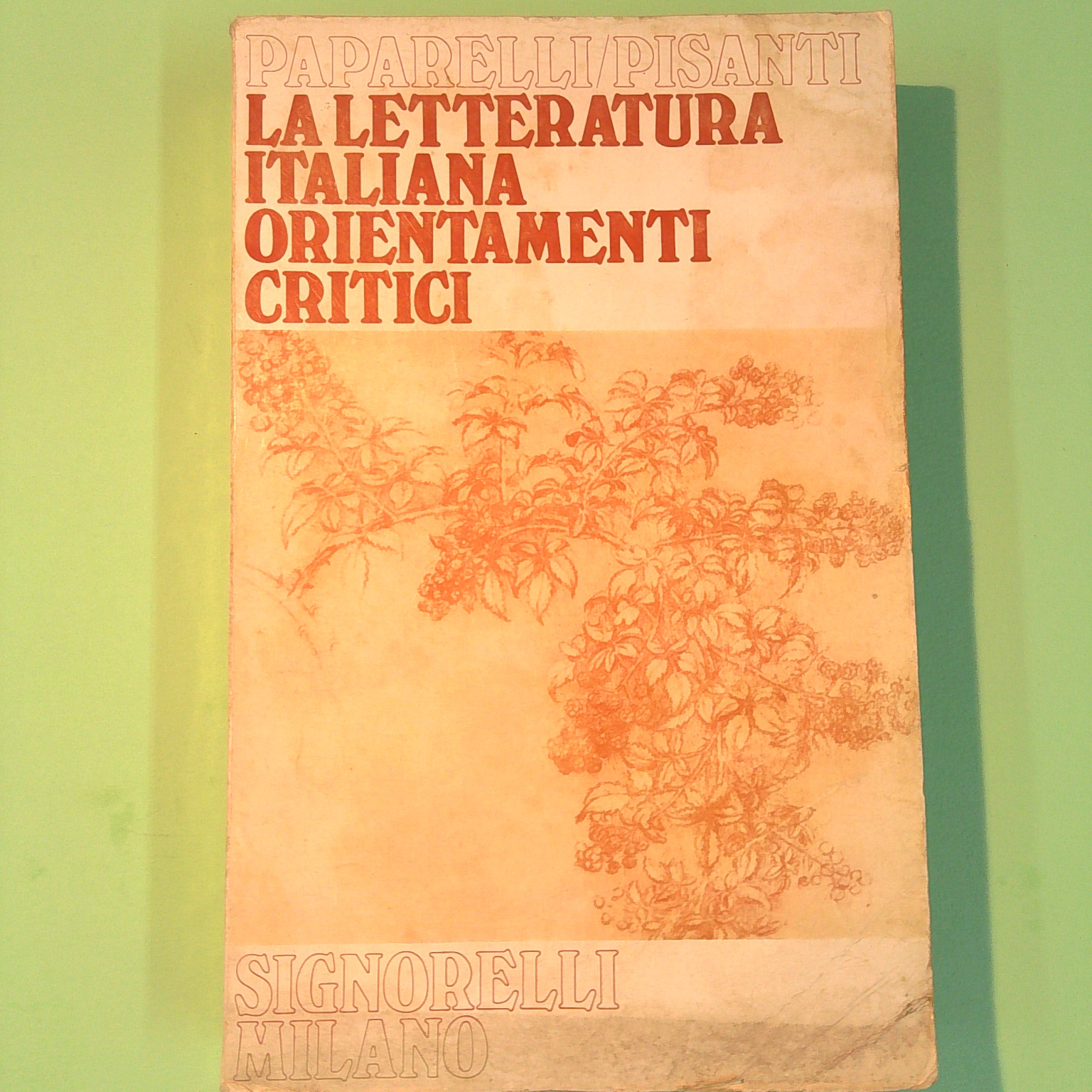 LA LETTERATURA ITALIANA ORIENTAMENTI CRITICI