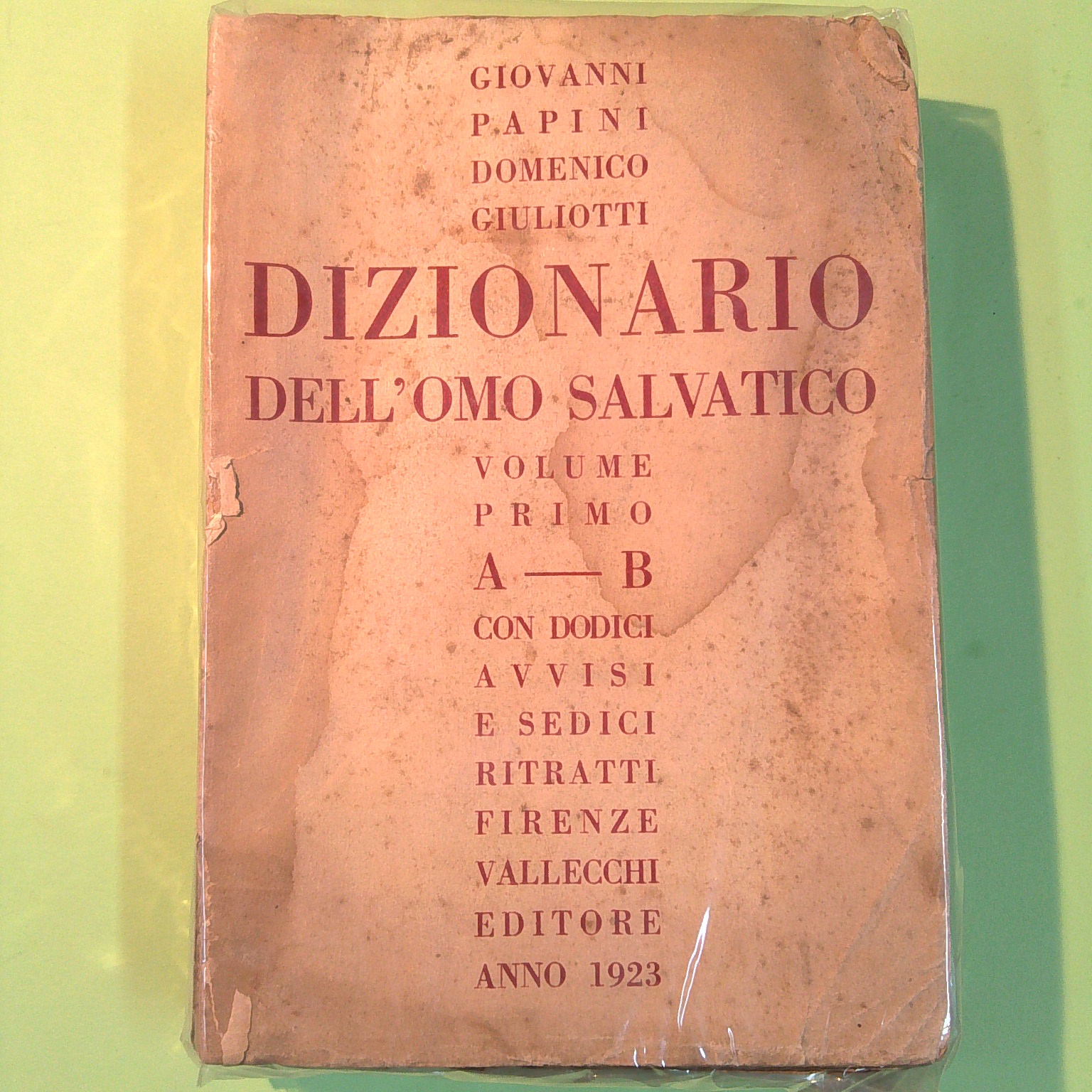 DIZIONARIO DELL'OMO SALVATICO VOL I A-B