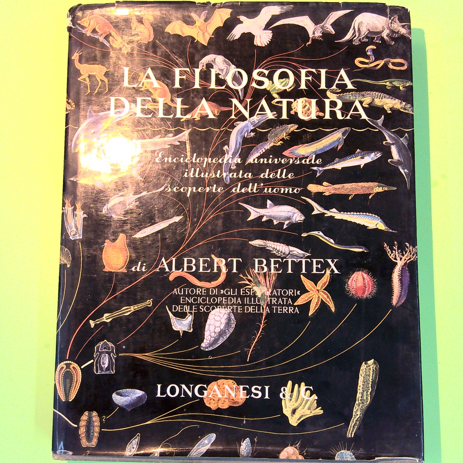 LA FILOSOFIA DELLA NATURA