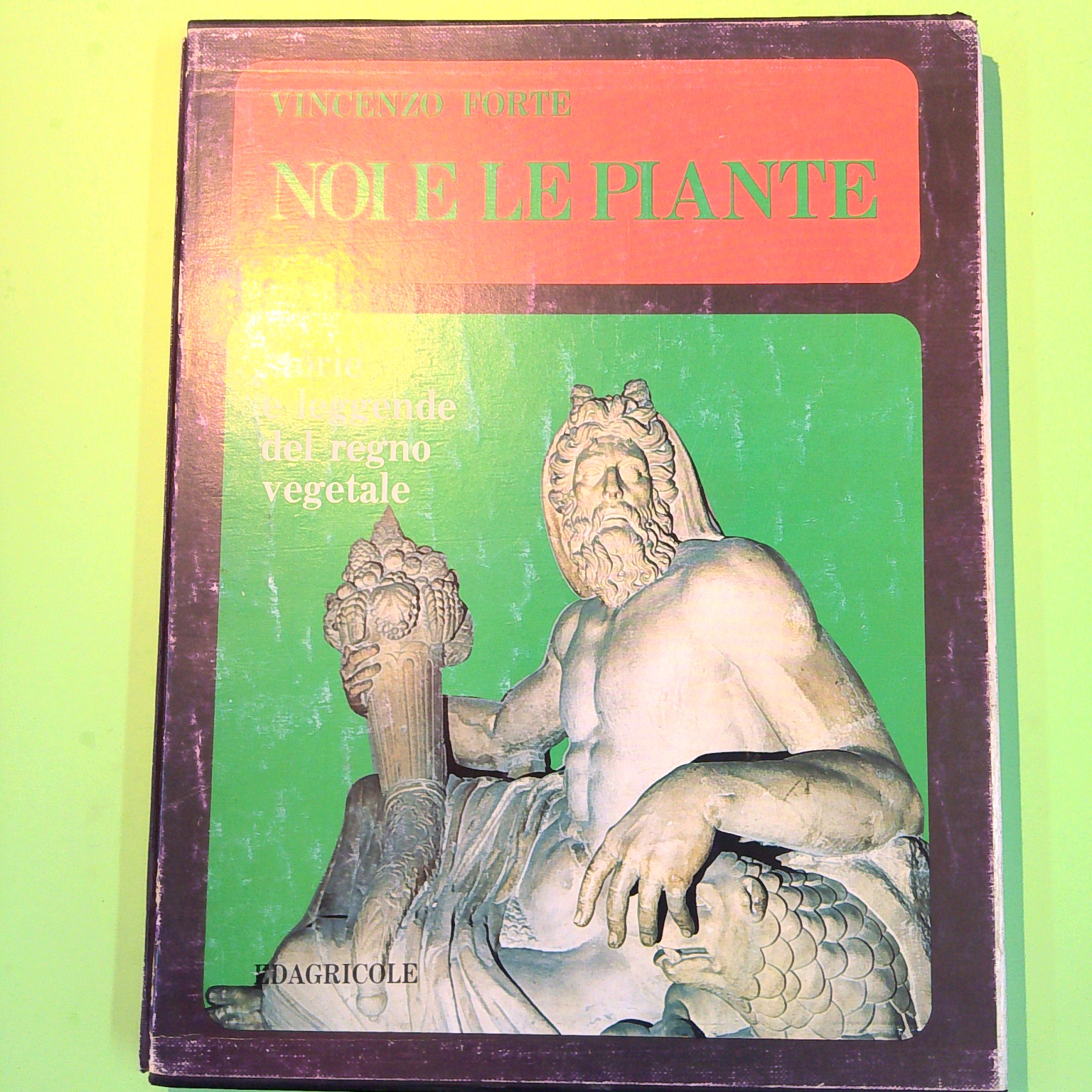 NOI E LE PIANTE