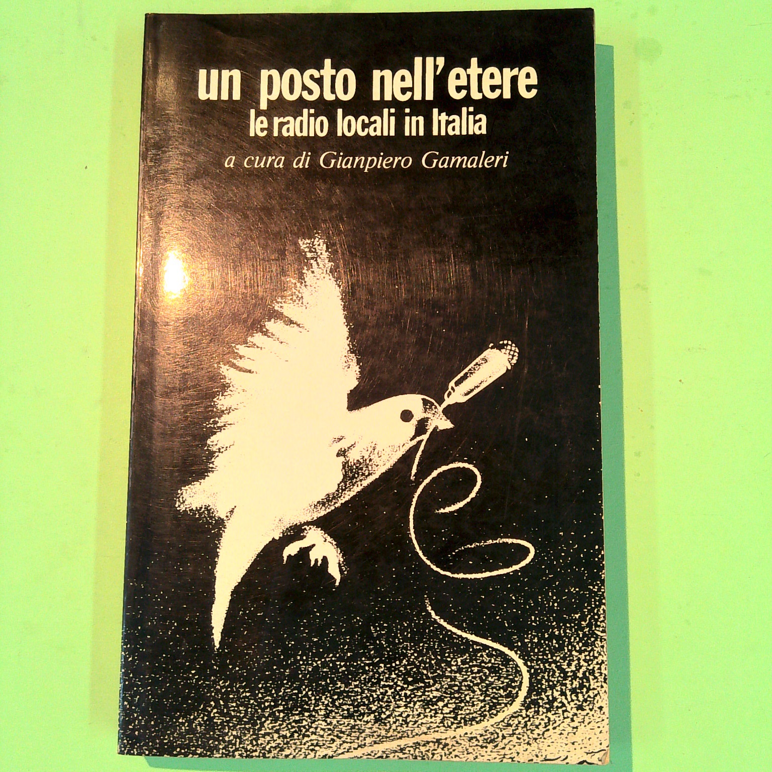 UN POSTO NELL'ETERE LE RADIO LOCALI IN ITALIA