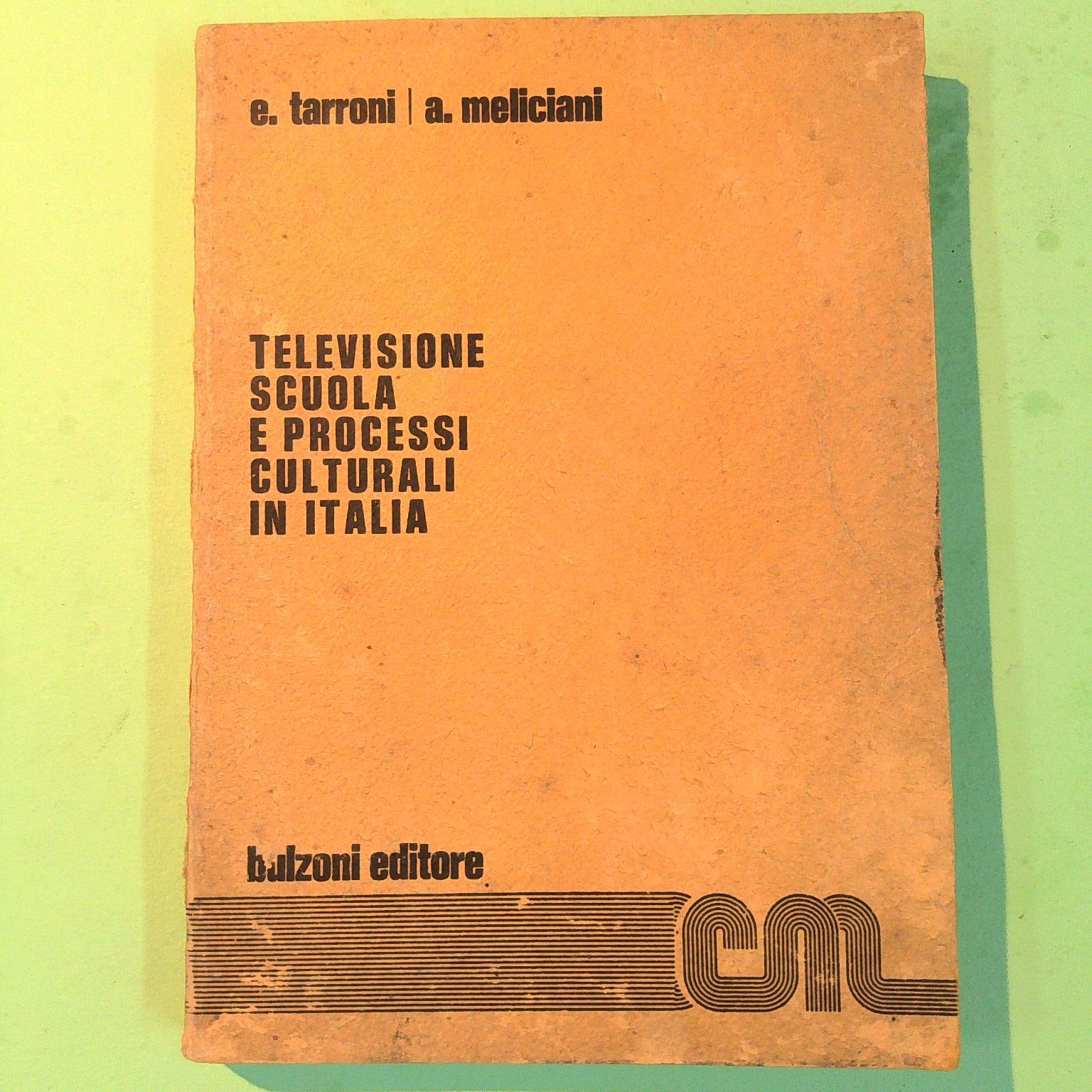TELEVISIONE SCUOLA E PROCESSI CULTURALI IN ITALIA