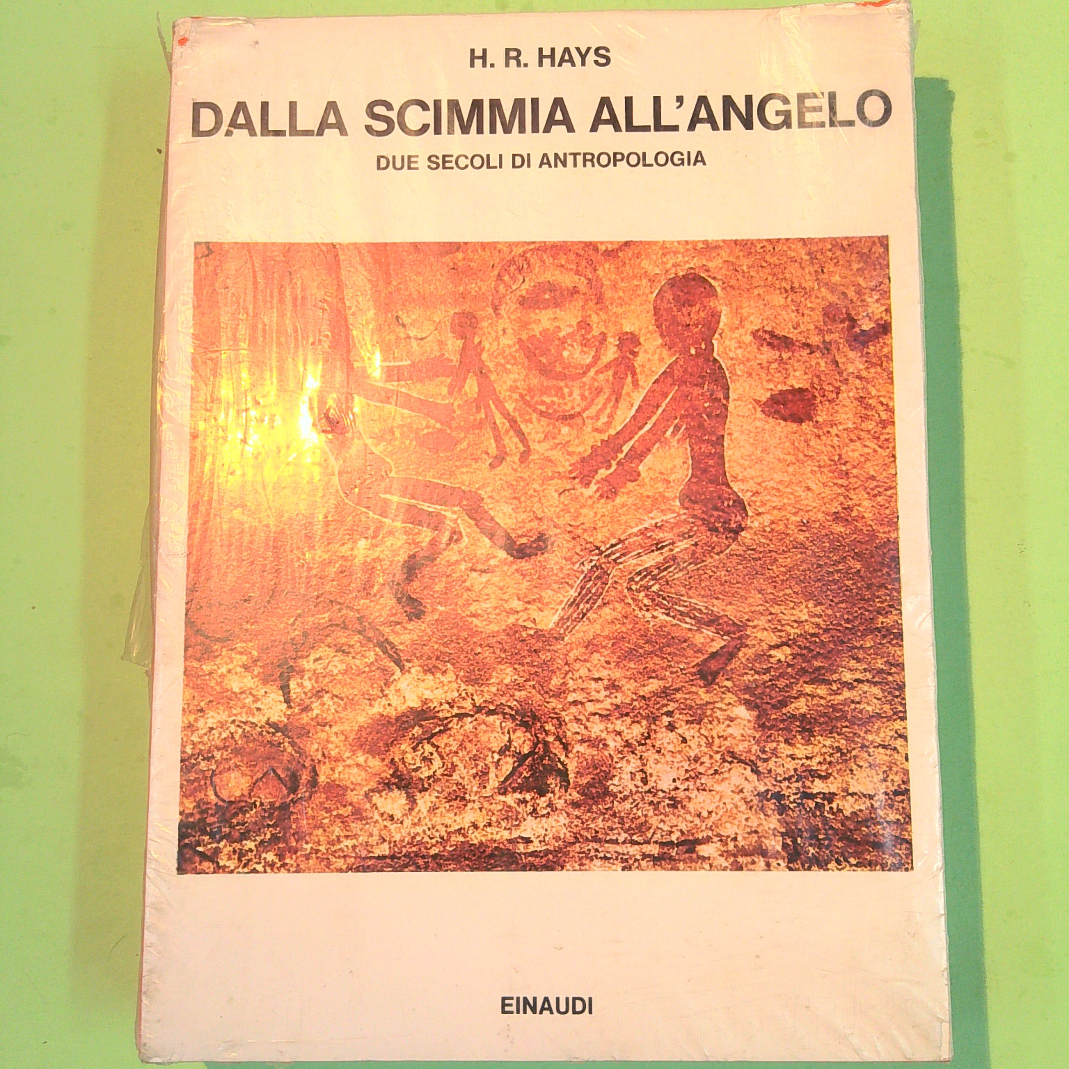 DALLA SCIMMIA ALL'ANGELO