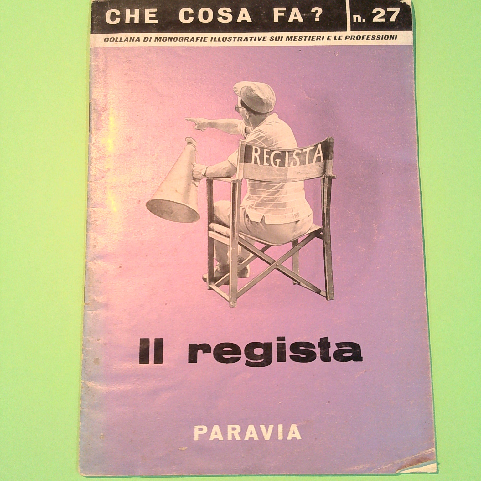 IL REGISTA CHE COSA FA?