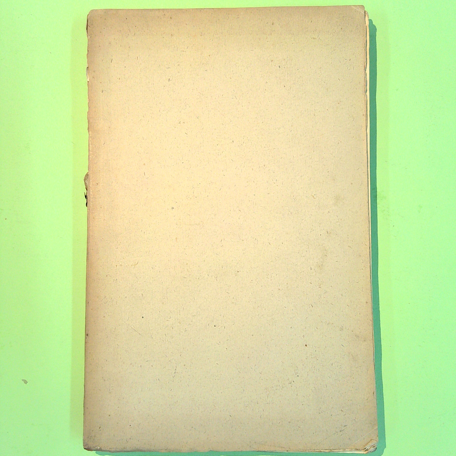 PROSE ARTISTICHE E LETTERARIE - immagine 2