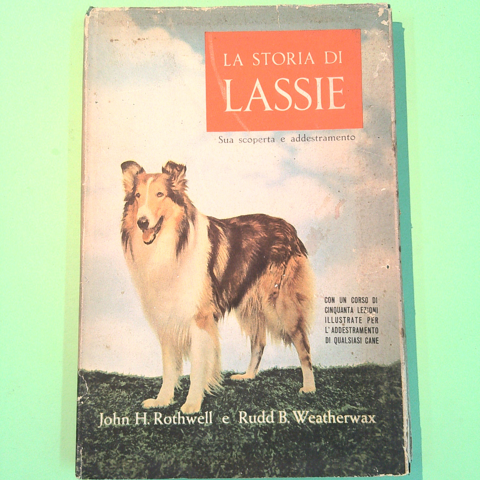 LA STORIA DI LASSIE
