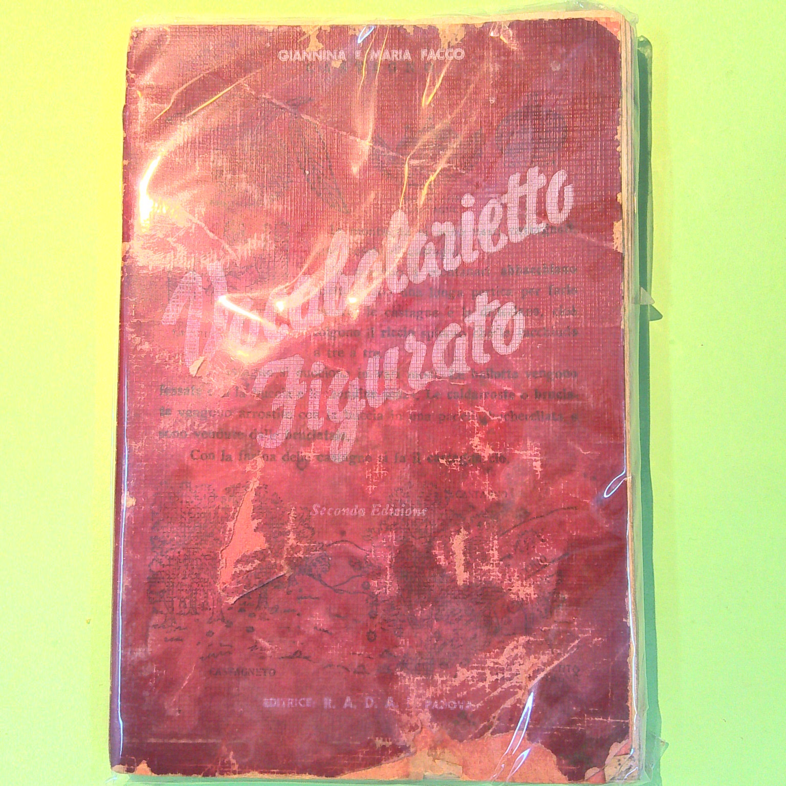 VOCABOLARIETTO FIGURATO