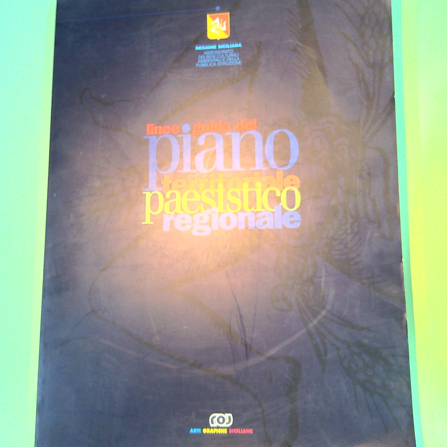 LINEE GUIDA DEL PIANO TERRITORIALE PAESISTICO REGIONALE