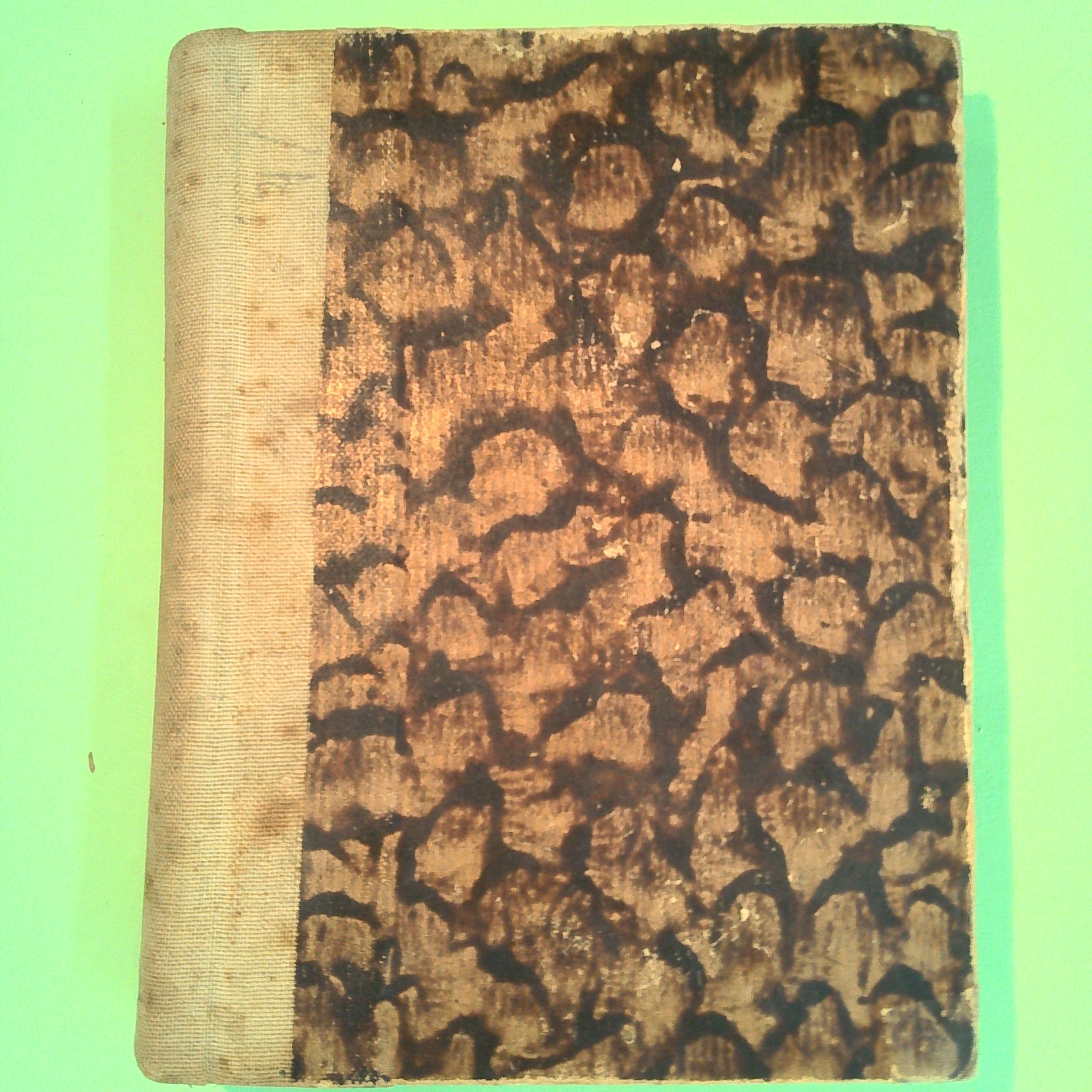 LE VIE DELLA CIVILTÀ VOL II