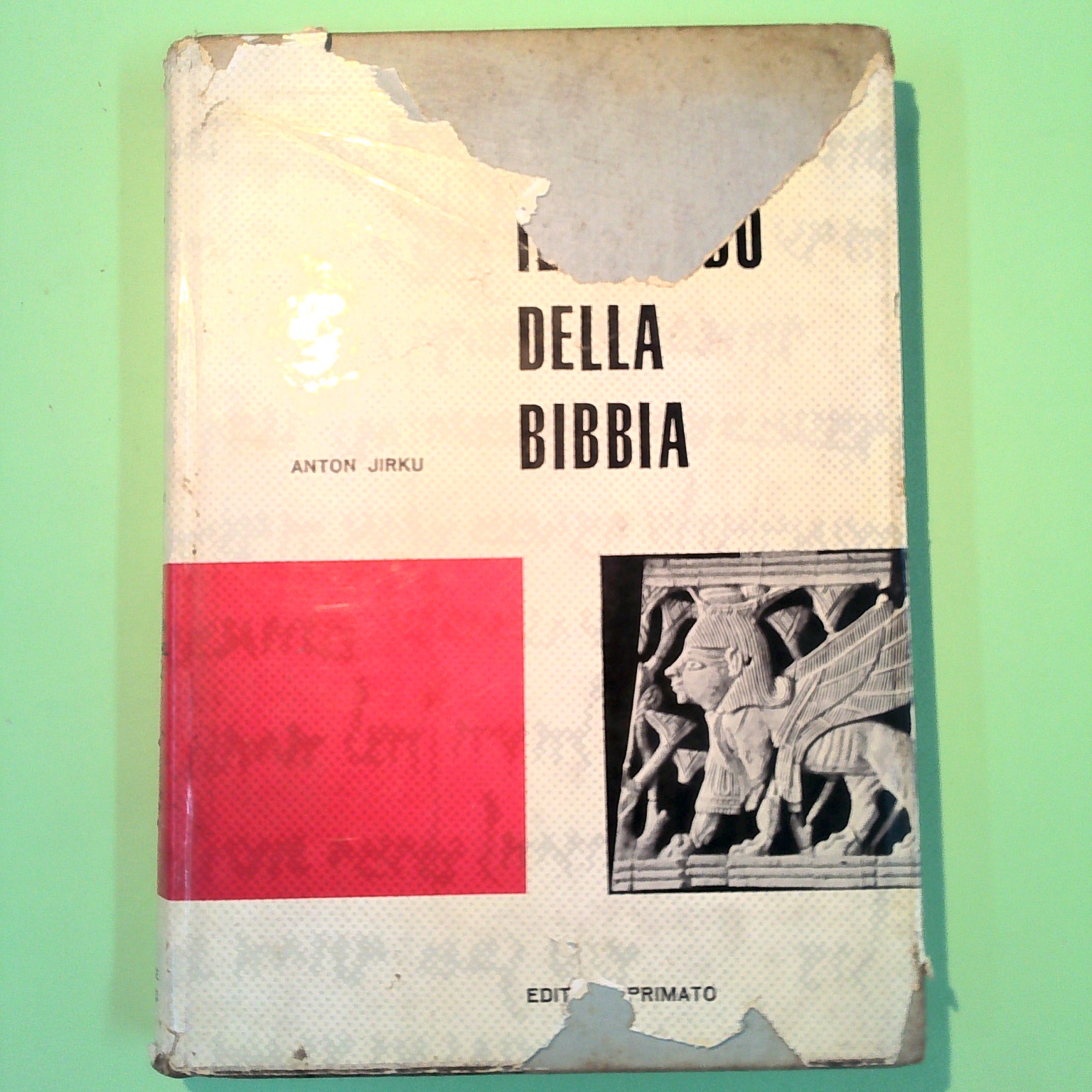 IL MONDO DELLA BIBBIA