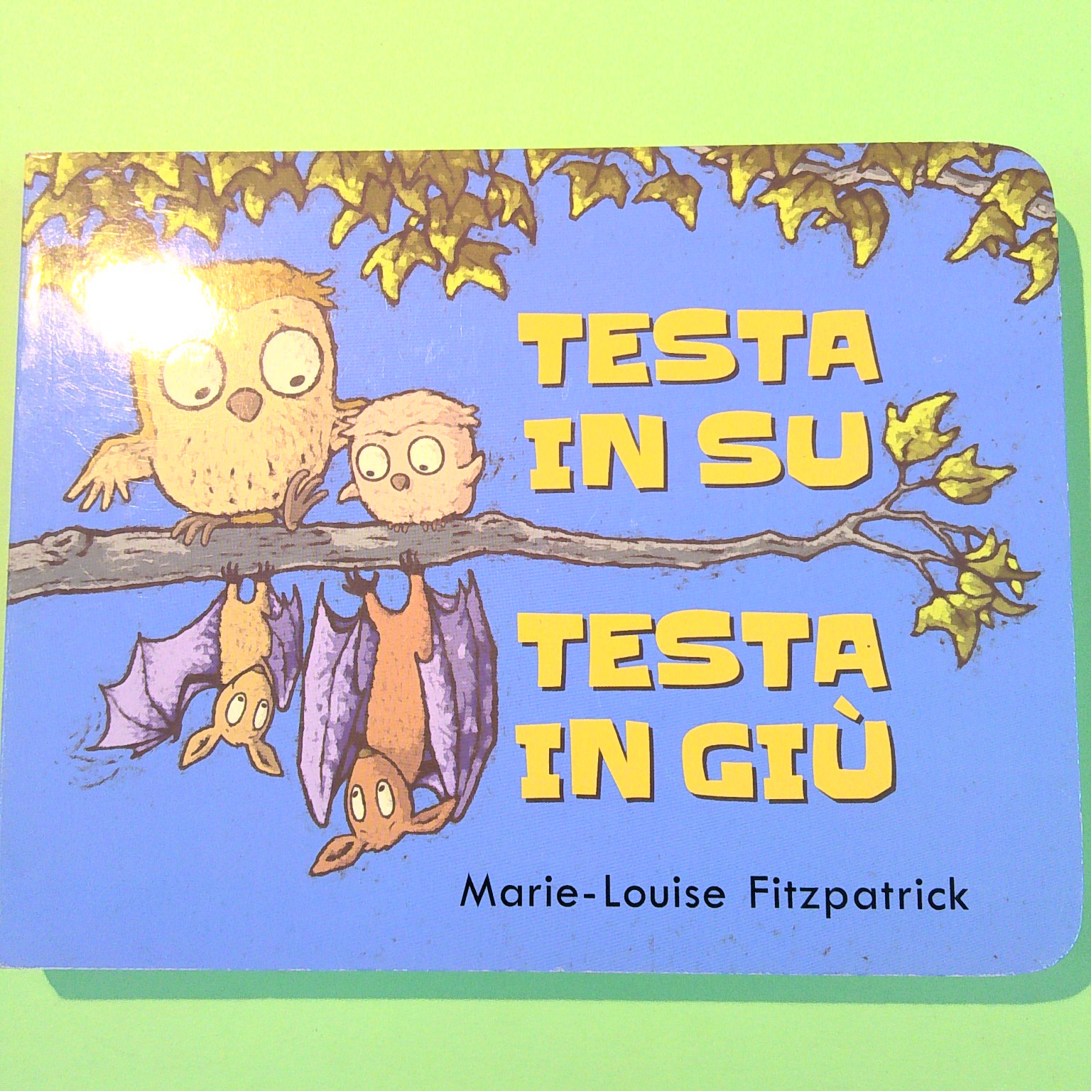 TESTA IN SU TESTA IN GIÙ