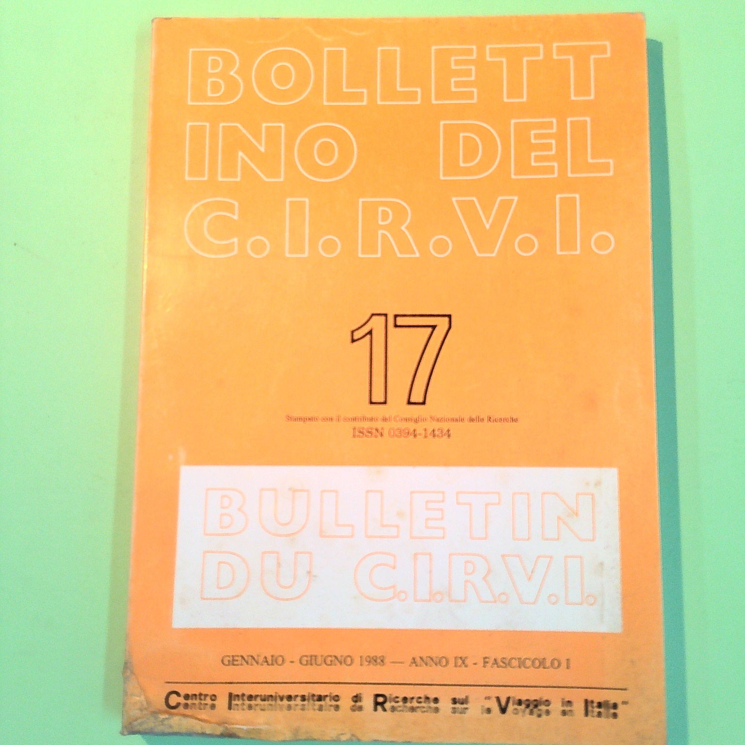 BOLLETTINO DEL CIRVI GENNAIO GIUGNO 1988 N. 17