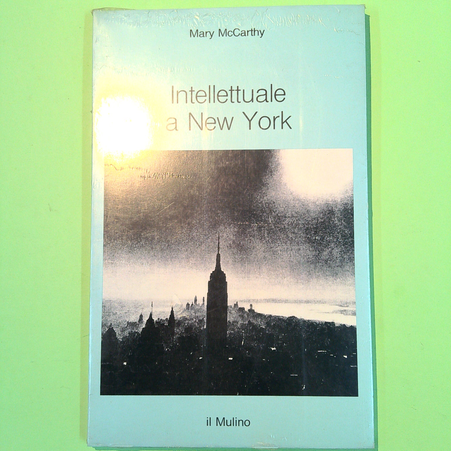 INTELLETTUALE A NEW YORK