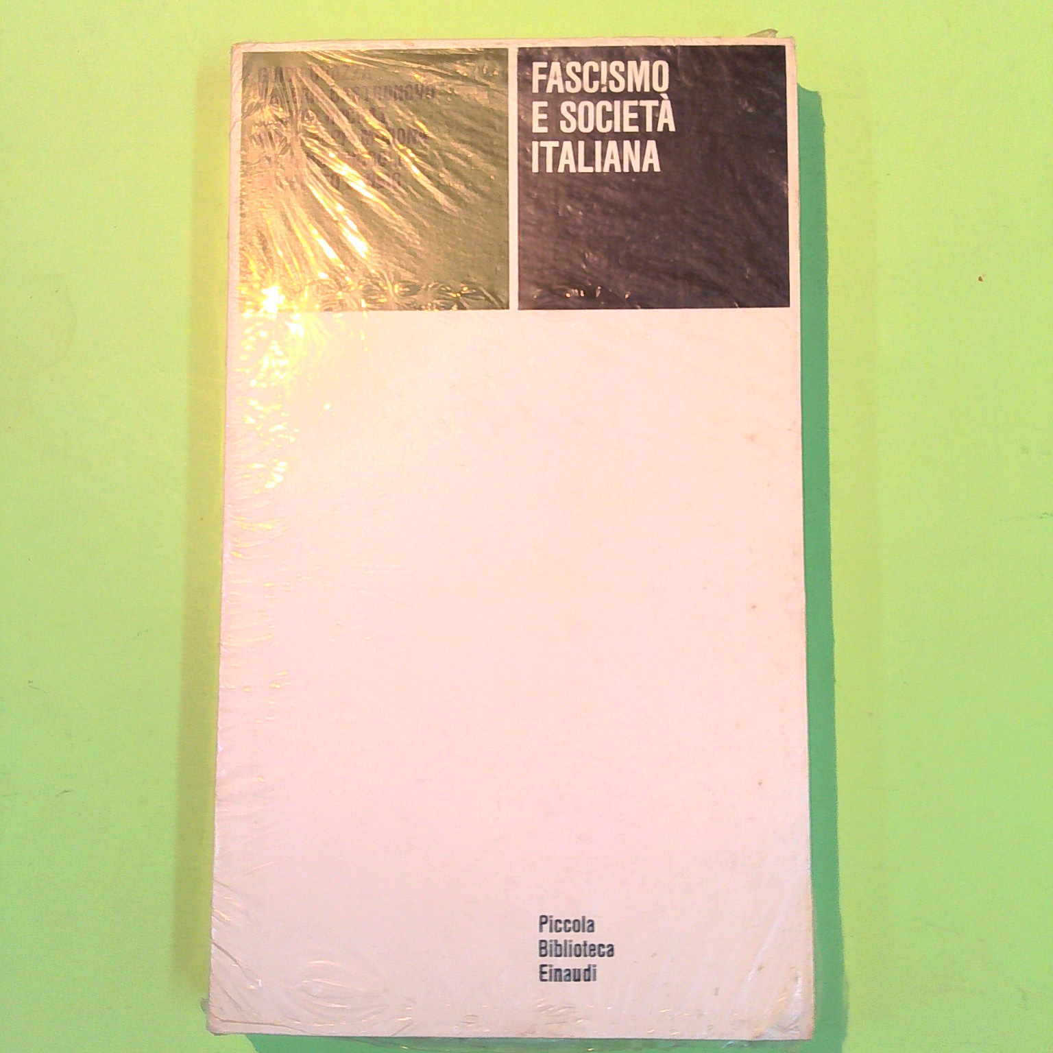 FASCISMO E SOCIETÀ ITALIANA