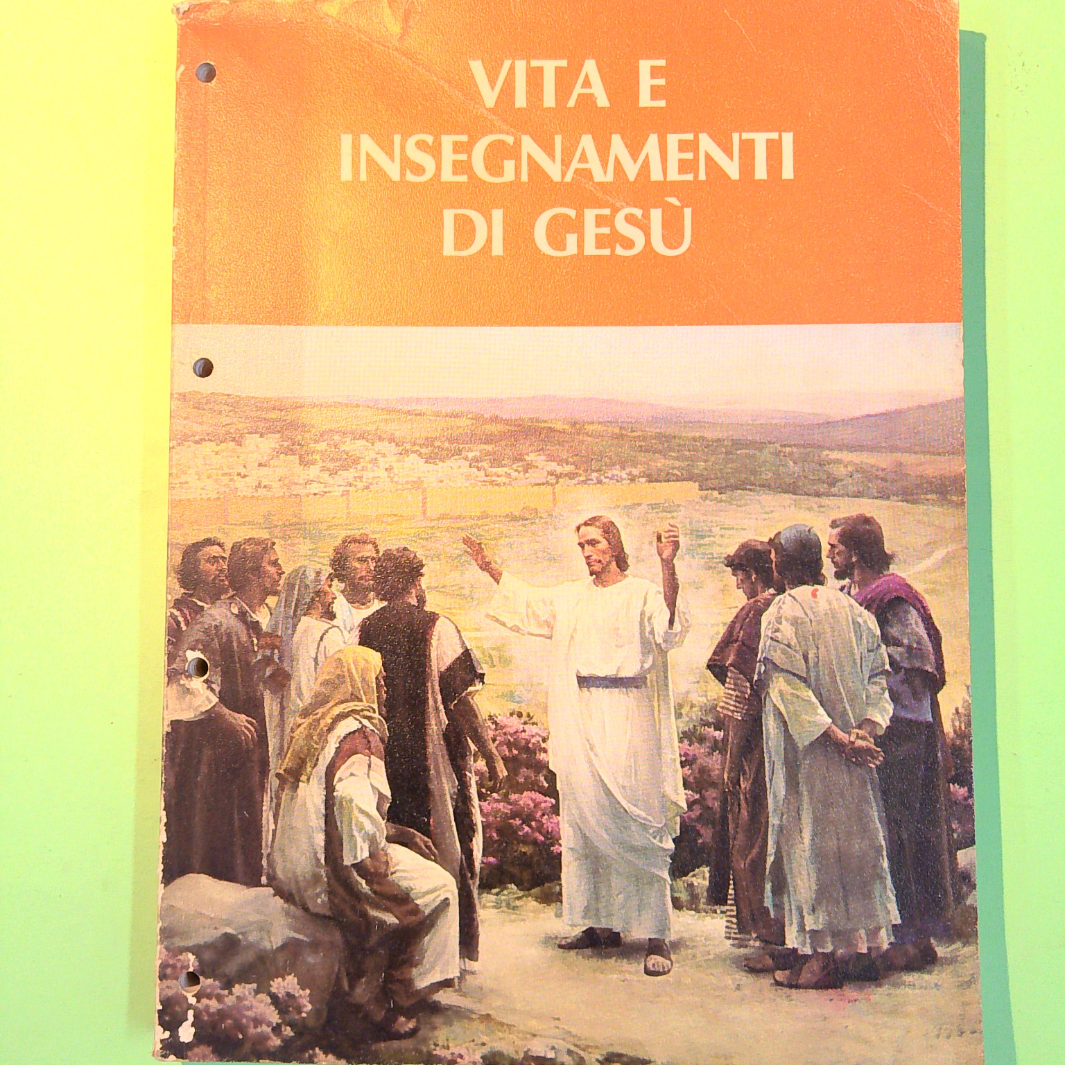 VITA E INSEGNAMENTI DI GESÙ